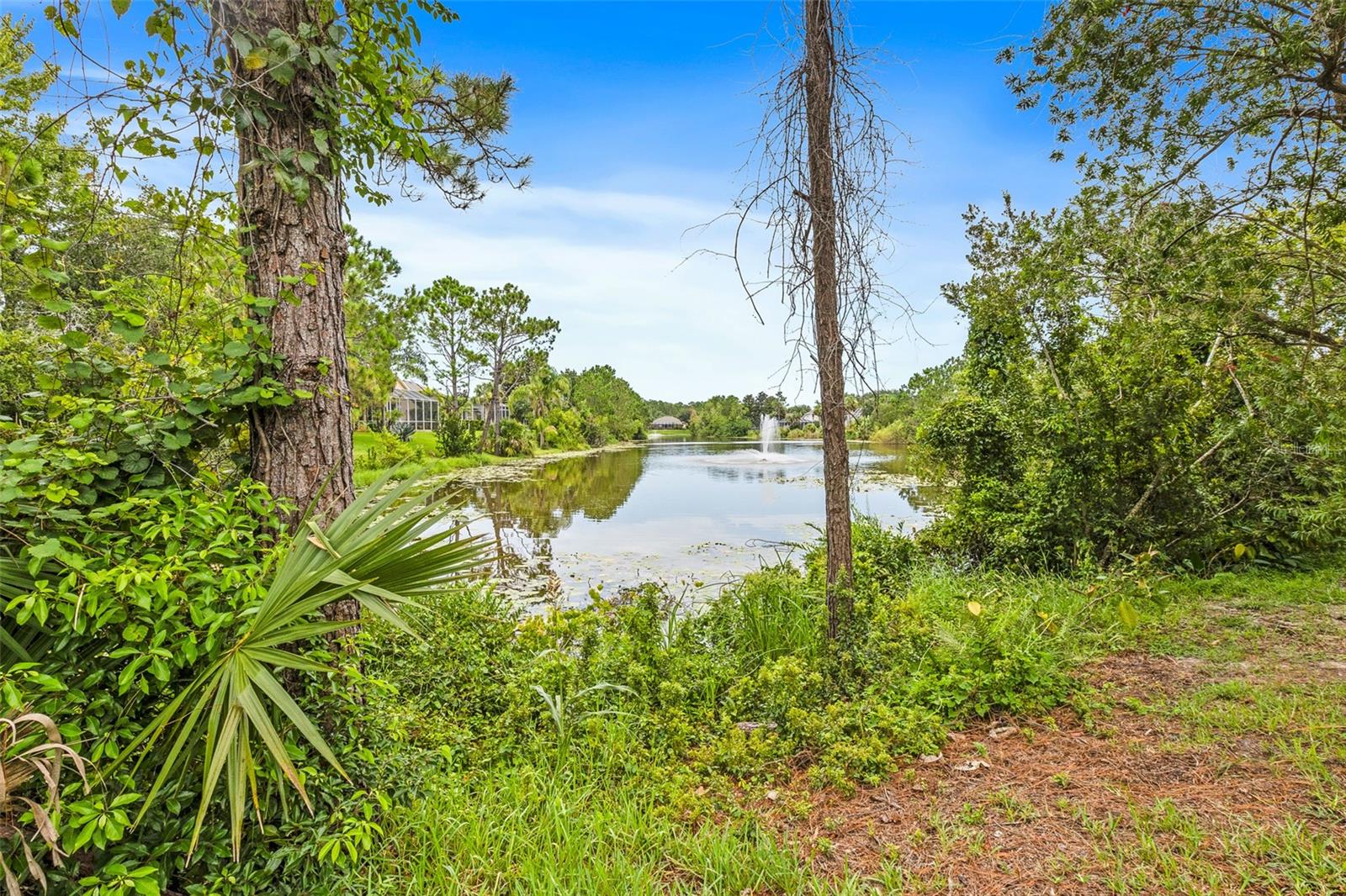 148 DEEP WOODS WAY
