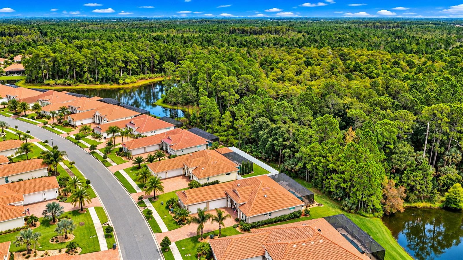 Aerial view of terracotta-roofed homes bordering a pond and dense wooded preserve.