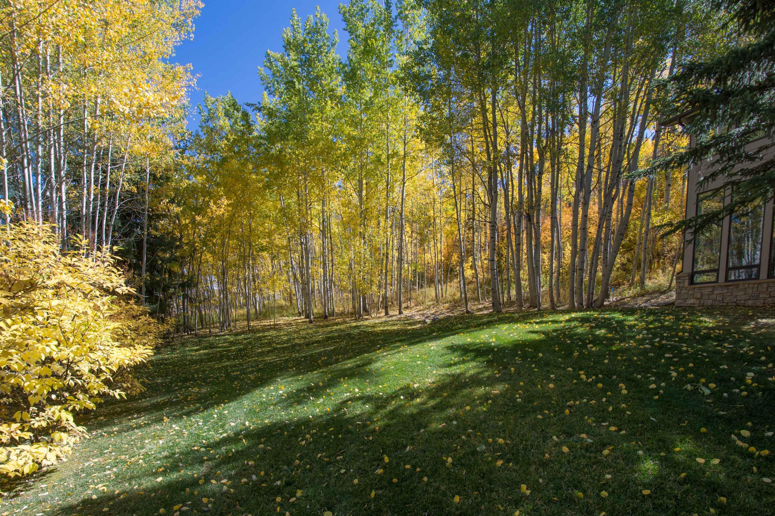 Sloping lawn beneath golden aspens, with fallen leaves and part of the house at right.