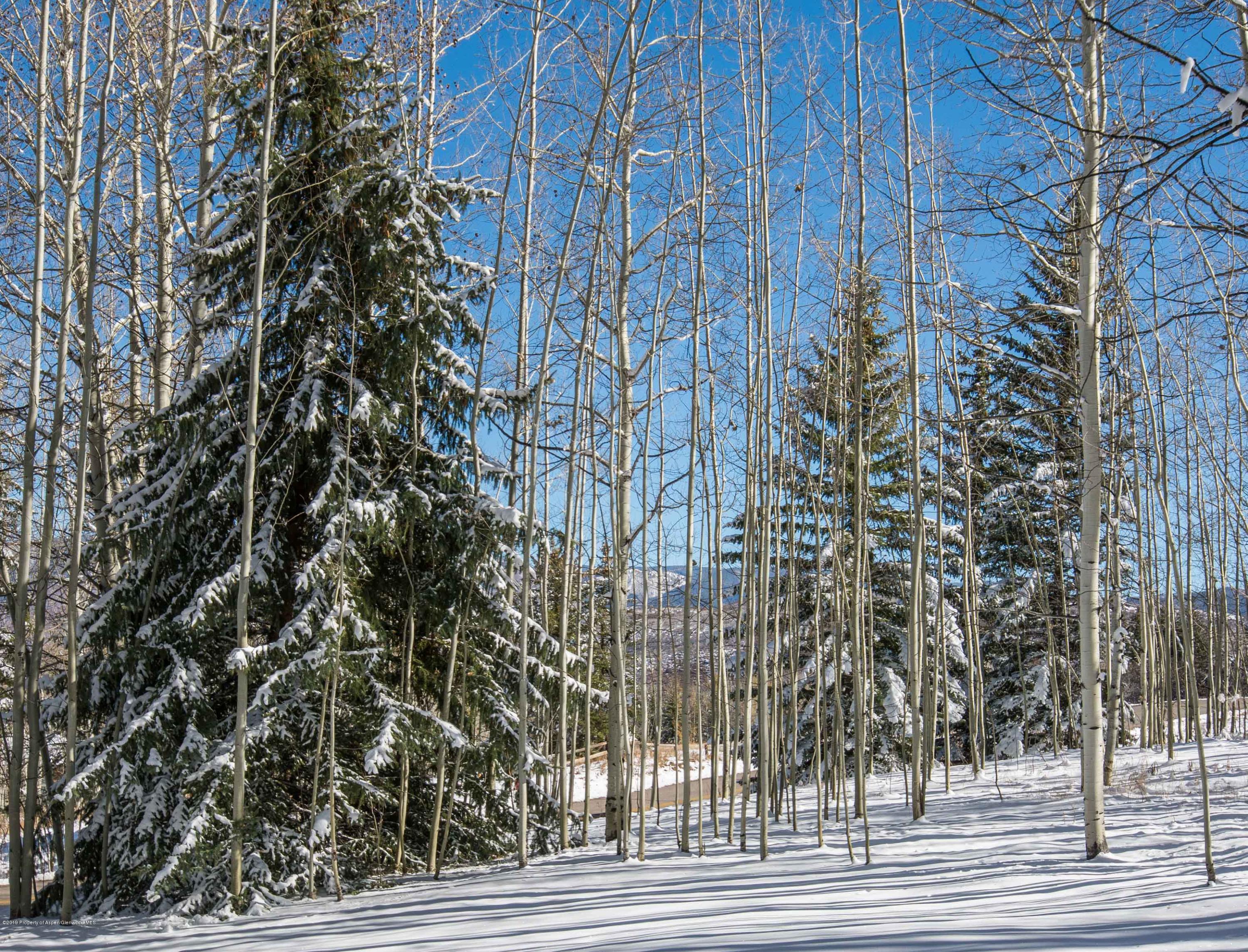 Snow-covered woodland with aspen trees, evergreen trees, and distant mountain views.