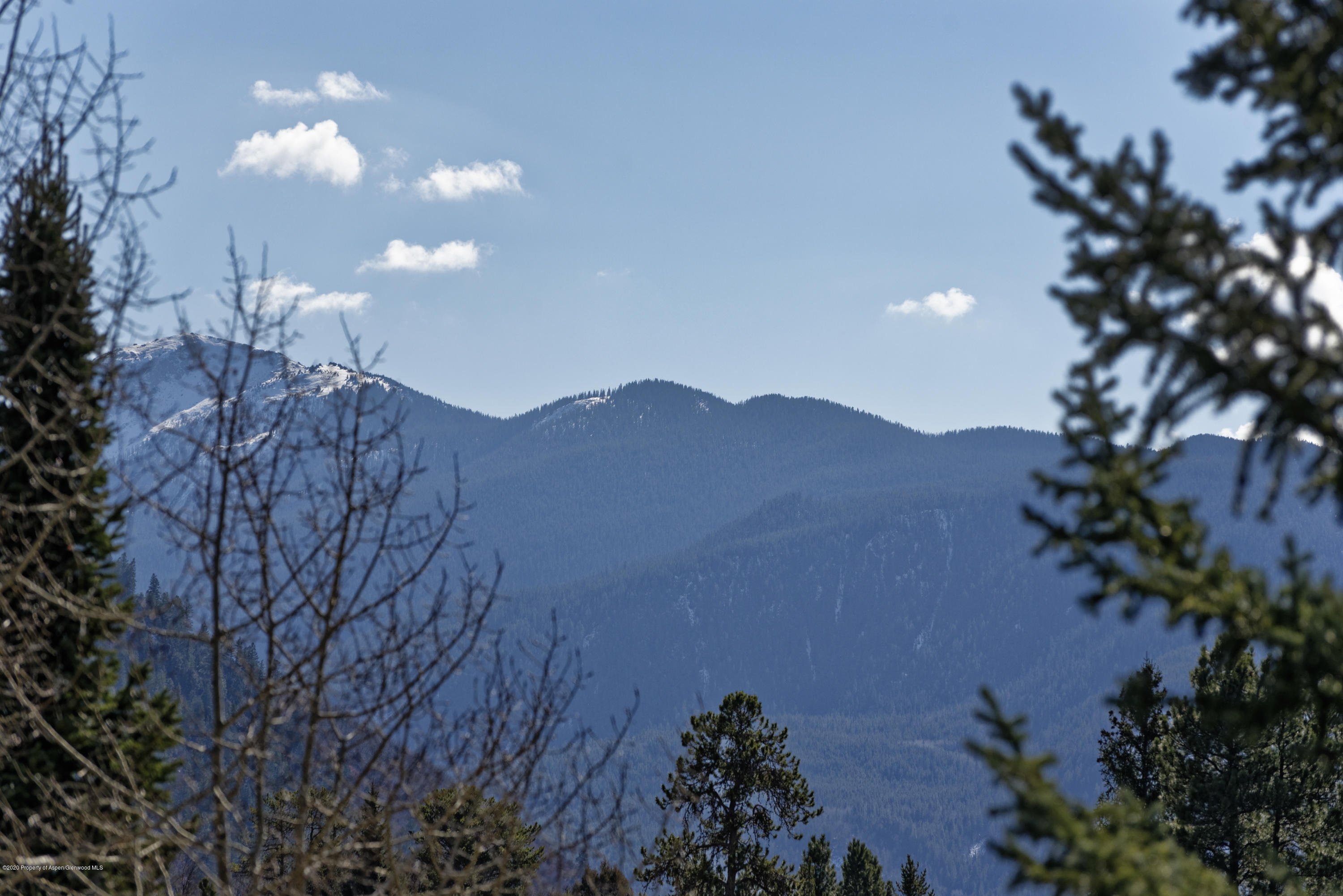 Snow-dusted mountain ridges framed by evergreen trees and bare branches beneath a blue sky.