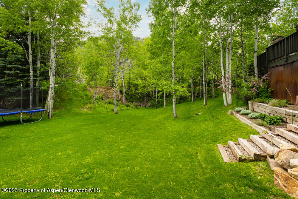 Backyard lawn bordered by aspens, with a trampoline and stone steps beside the house.