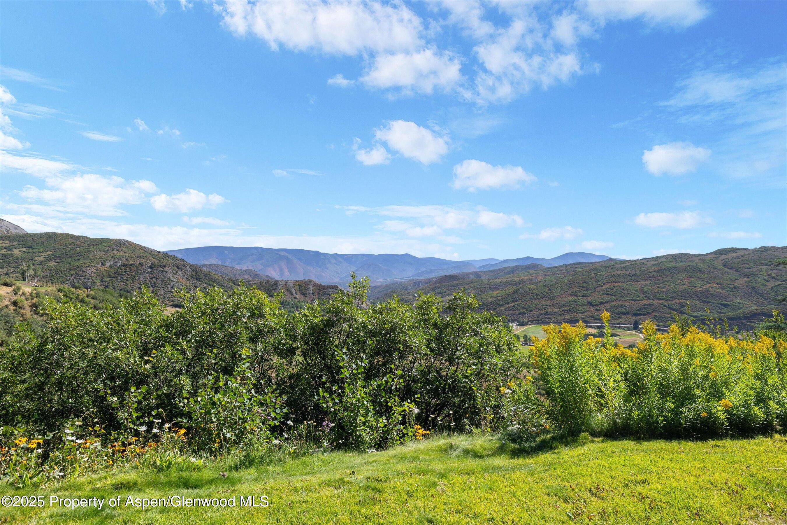 Mountain valley view beyond flowering shrubs and a grassy lawn.