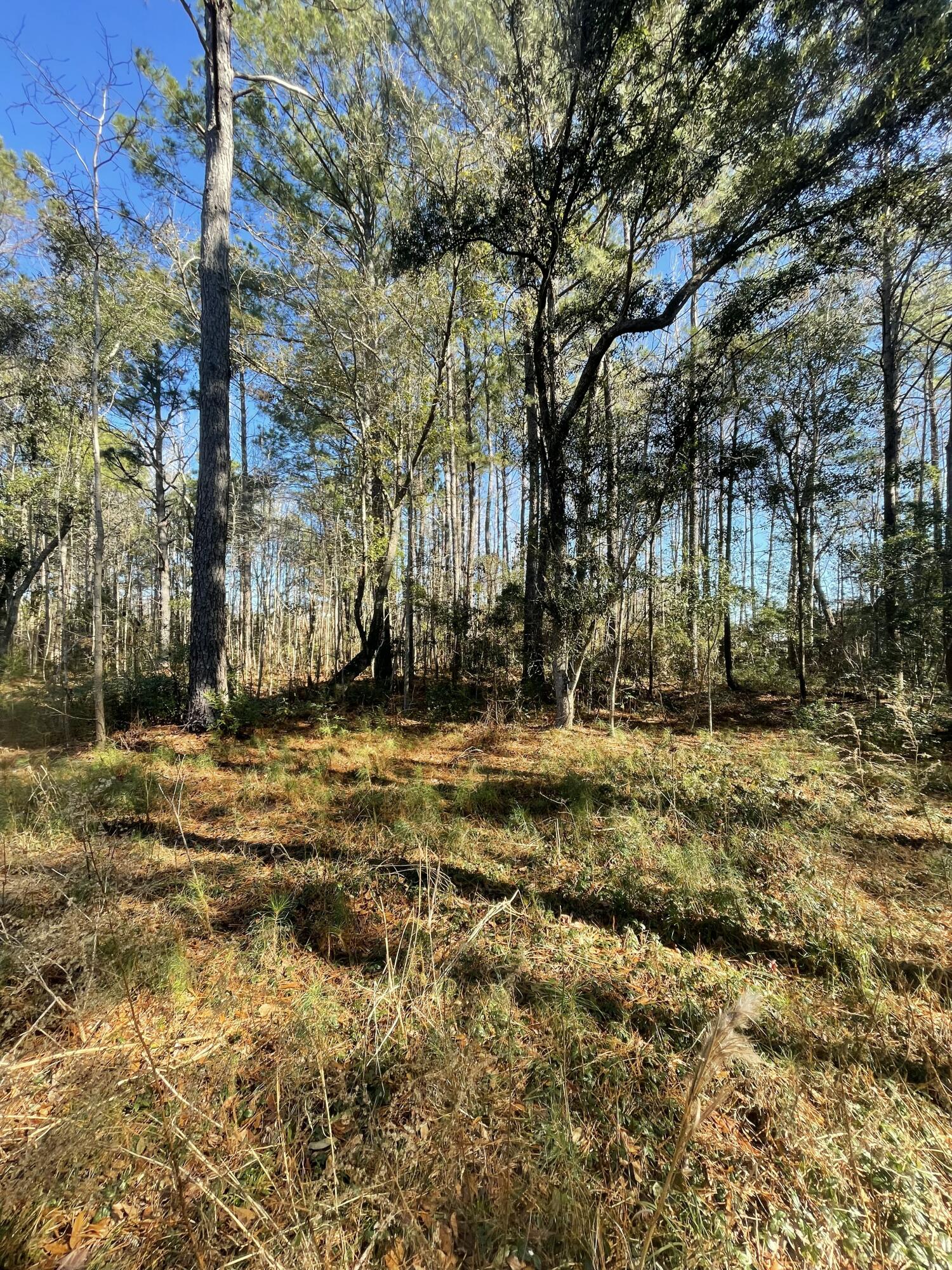 00 N Highway 17, McClellanville