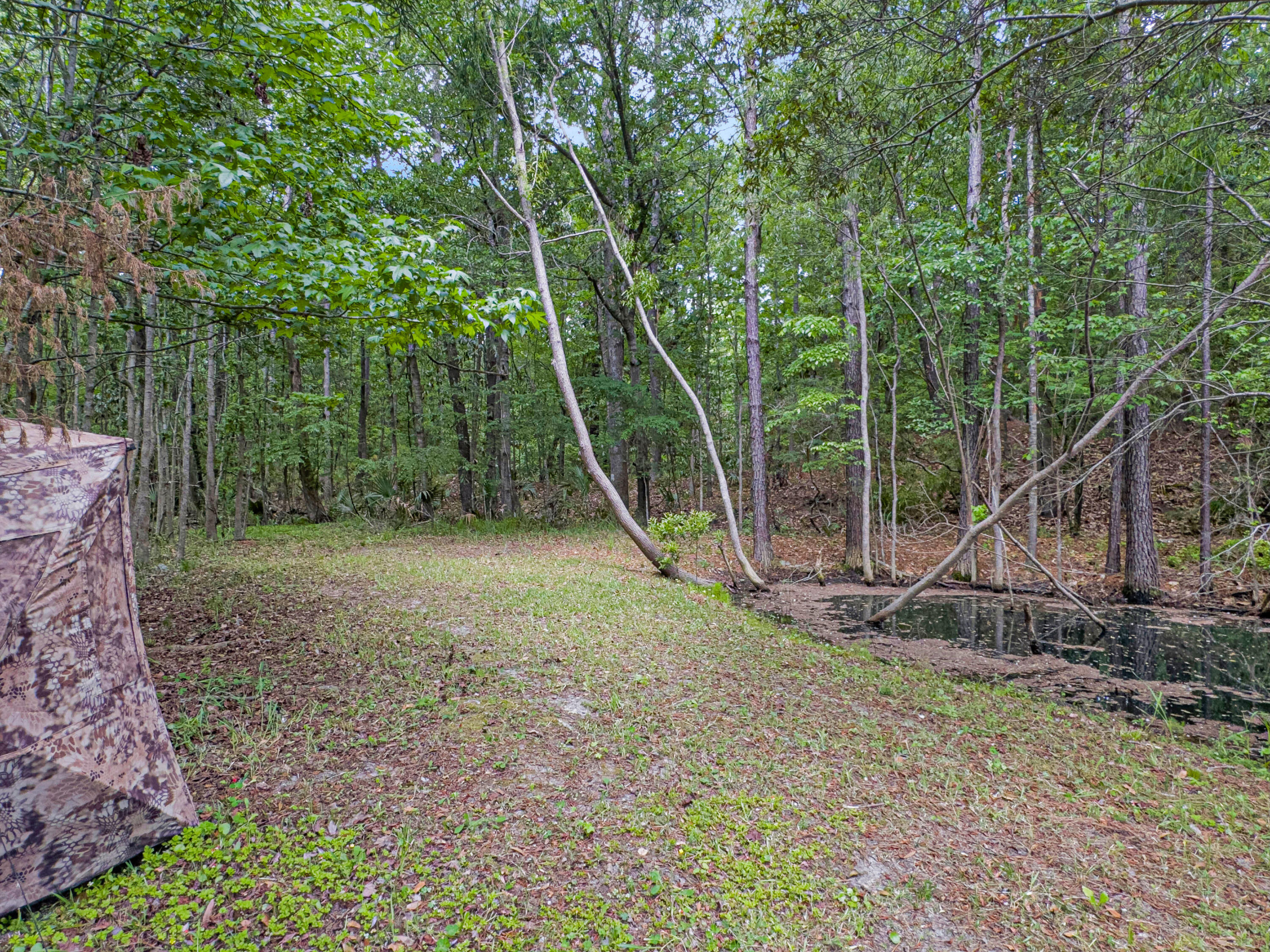 1061 Reverend Joseph Heyward Road