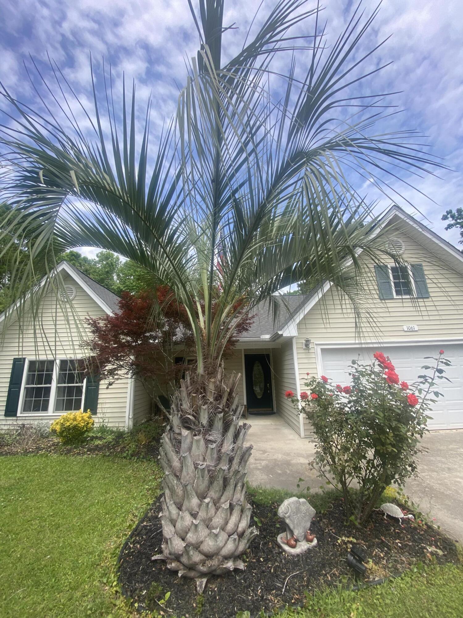 1061 Reverend Joseph Heyward Road