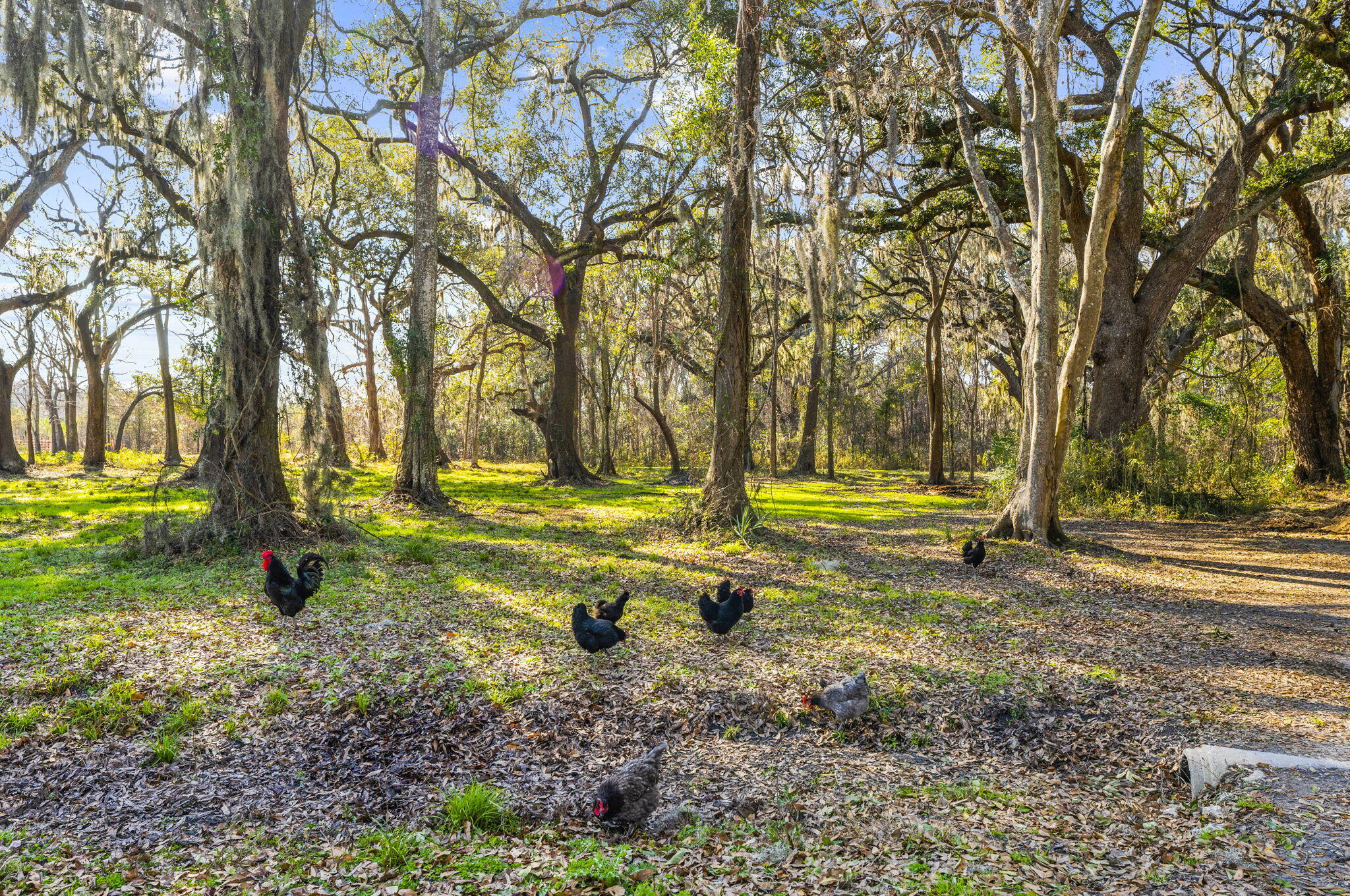 163 Keans Neck Road