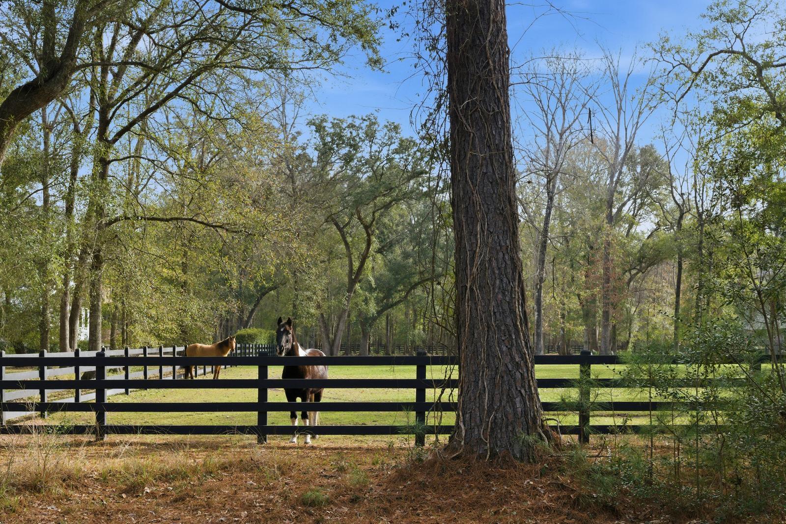 1484 Old Rosebud Trail