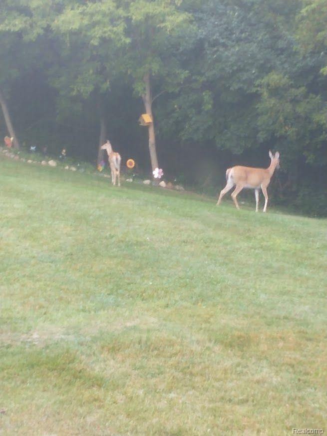 3780 DEER RIDGE Run
