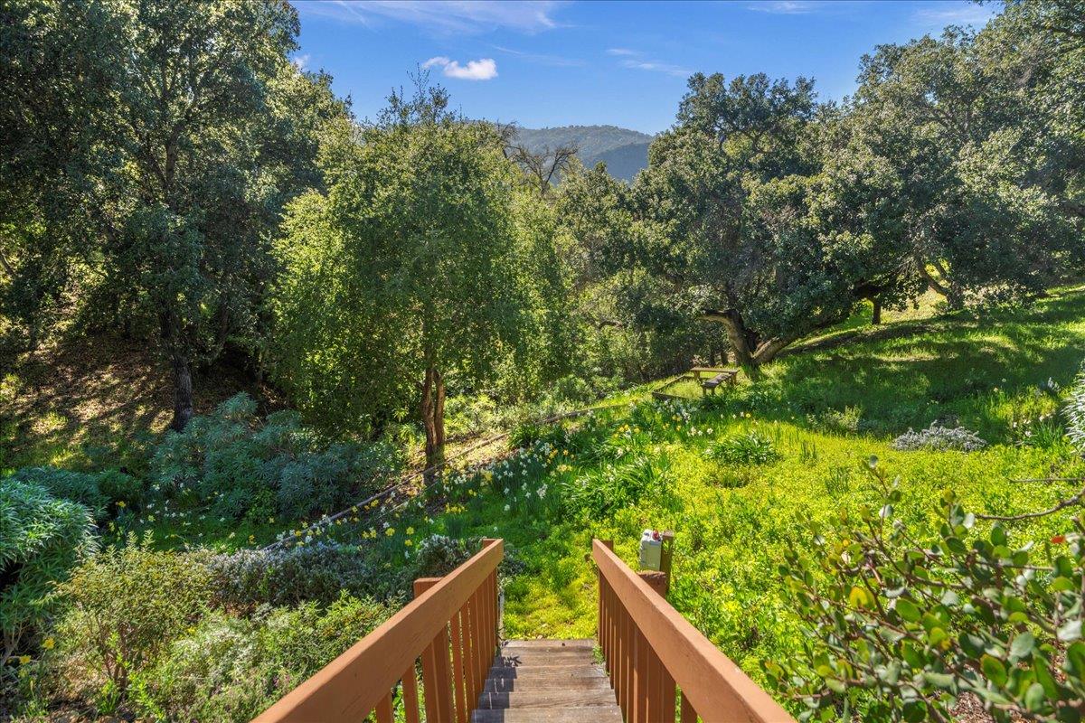 27305 Deer Springs WAY