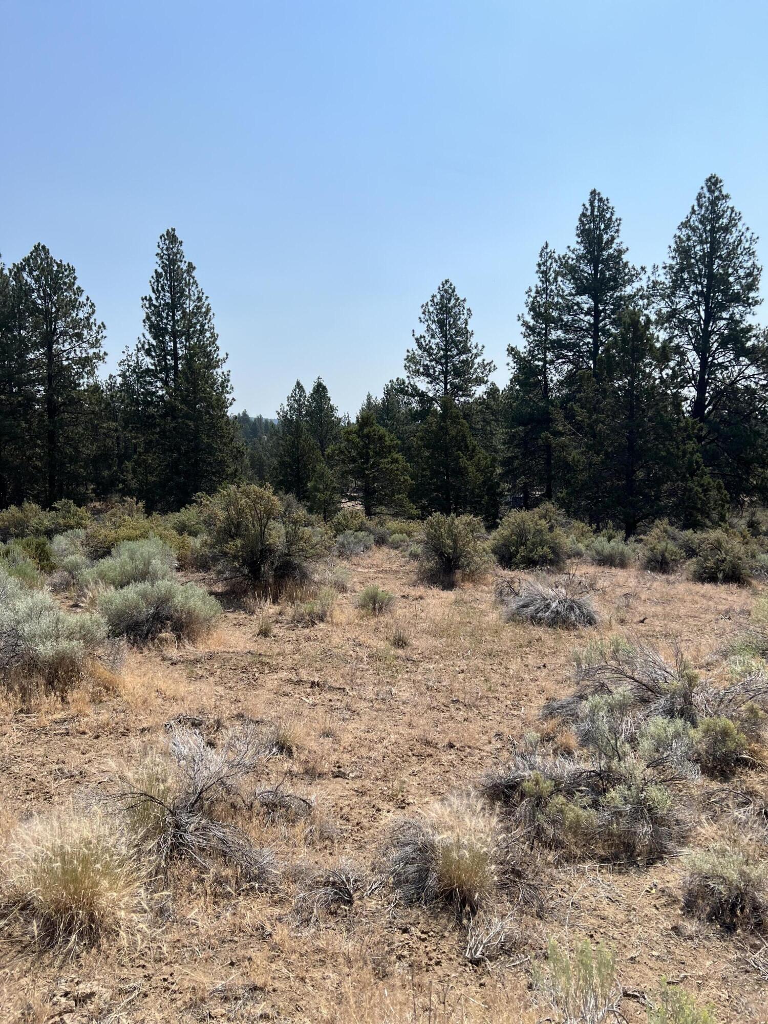 Klamath Forest Estates