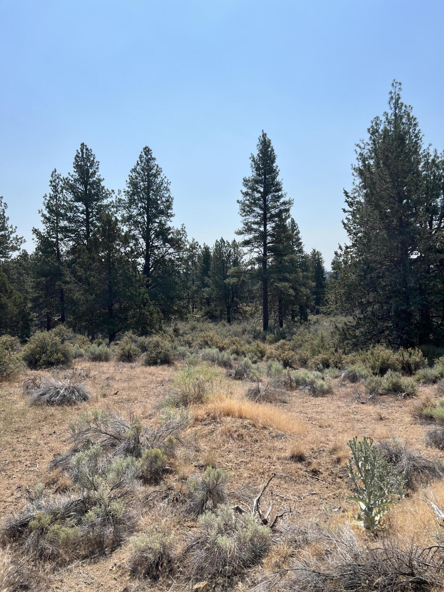 Klamath Forest Estates