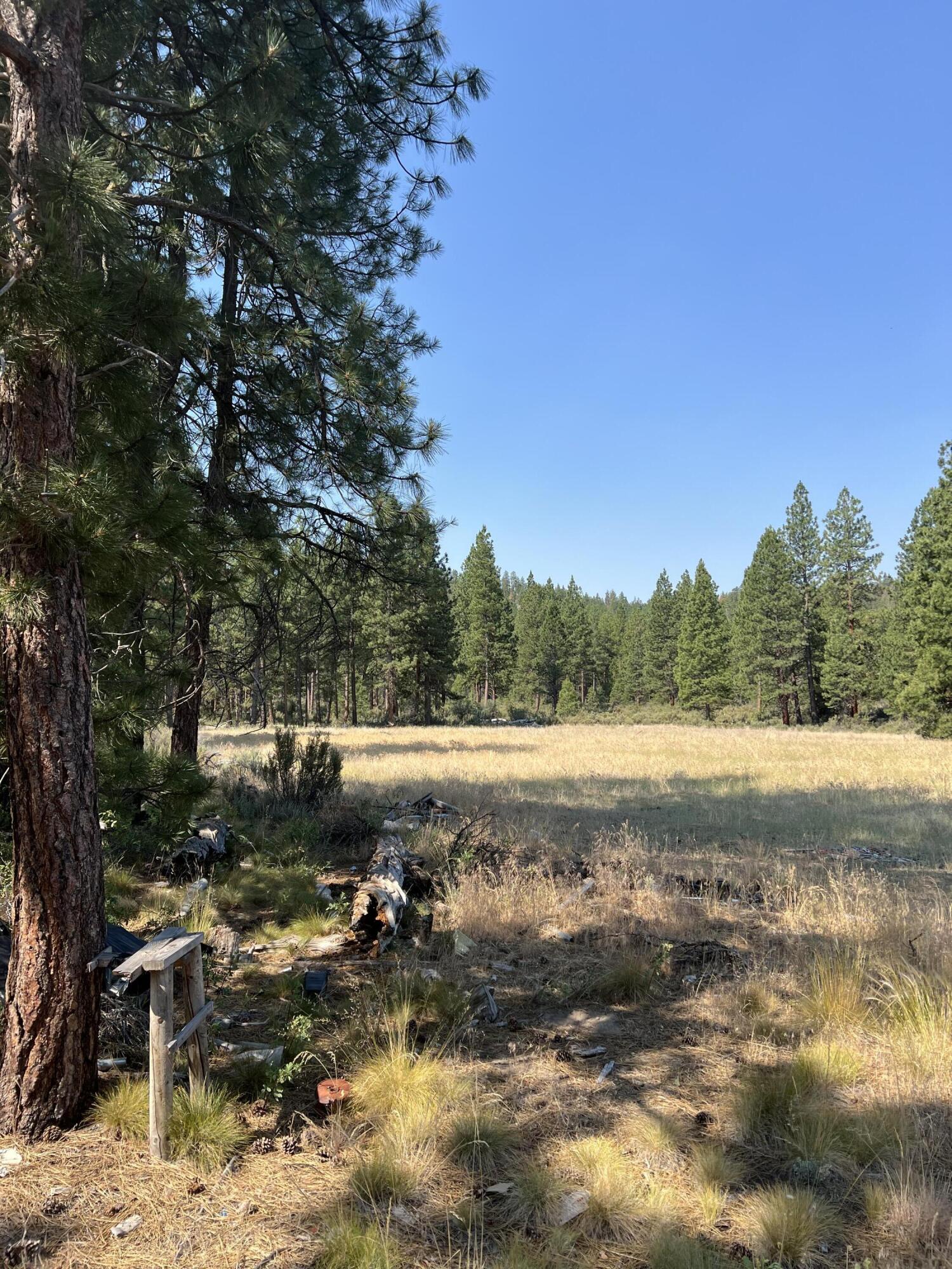 Sprague River Parcels 324688