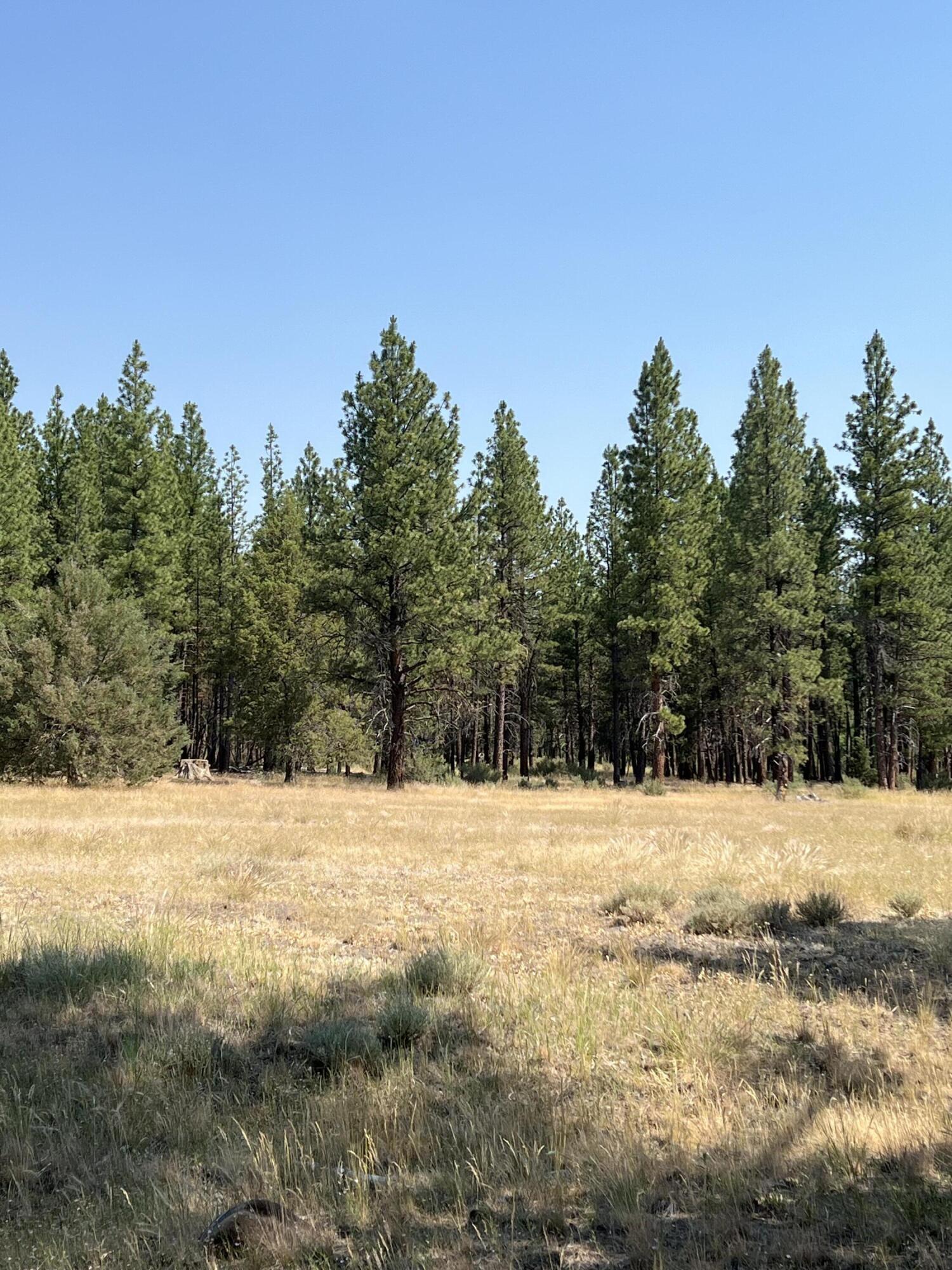 Sprague River Parcels 324688