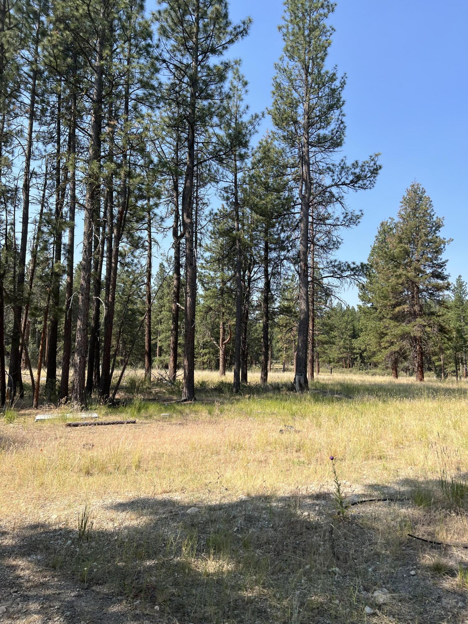 Sprague River Parcels 324688