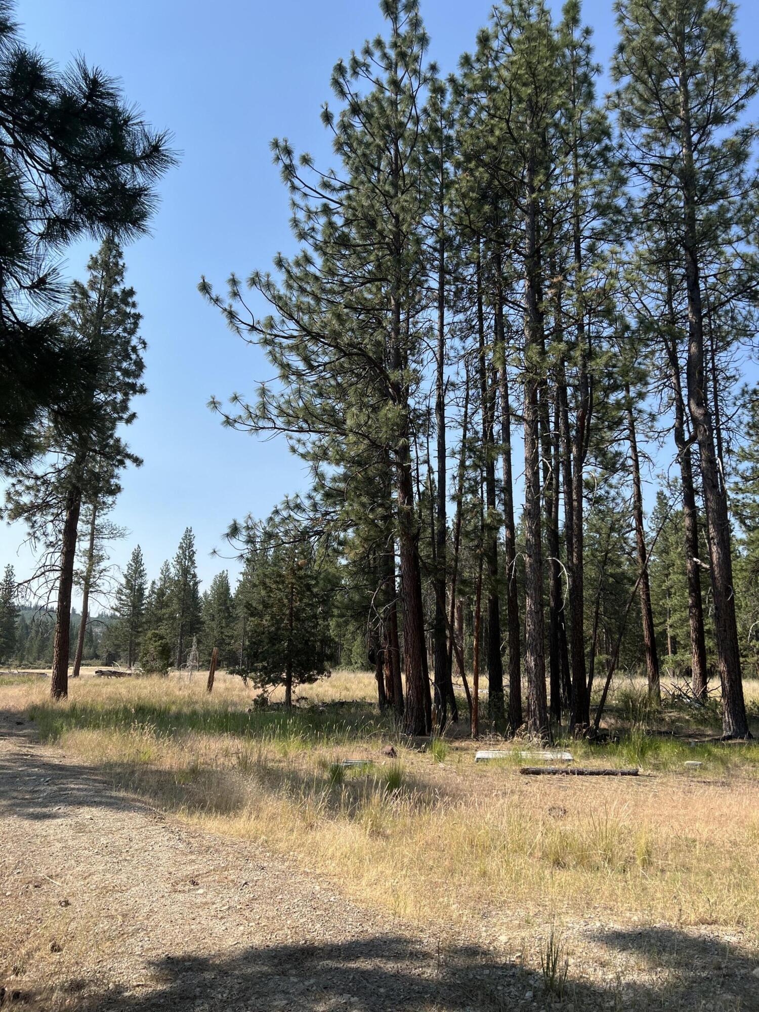 Sprague River Parcels 324688