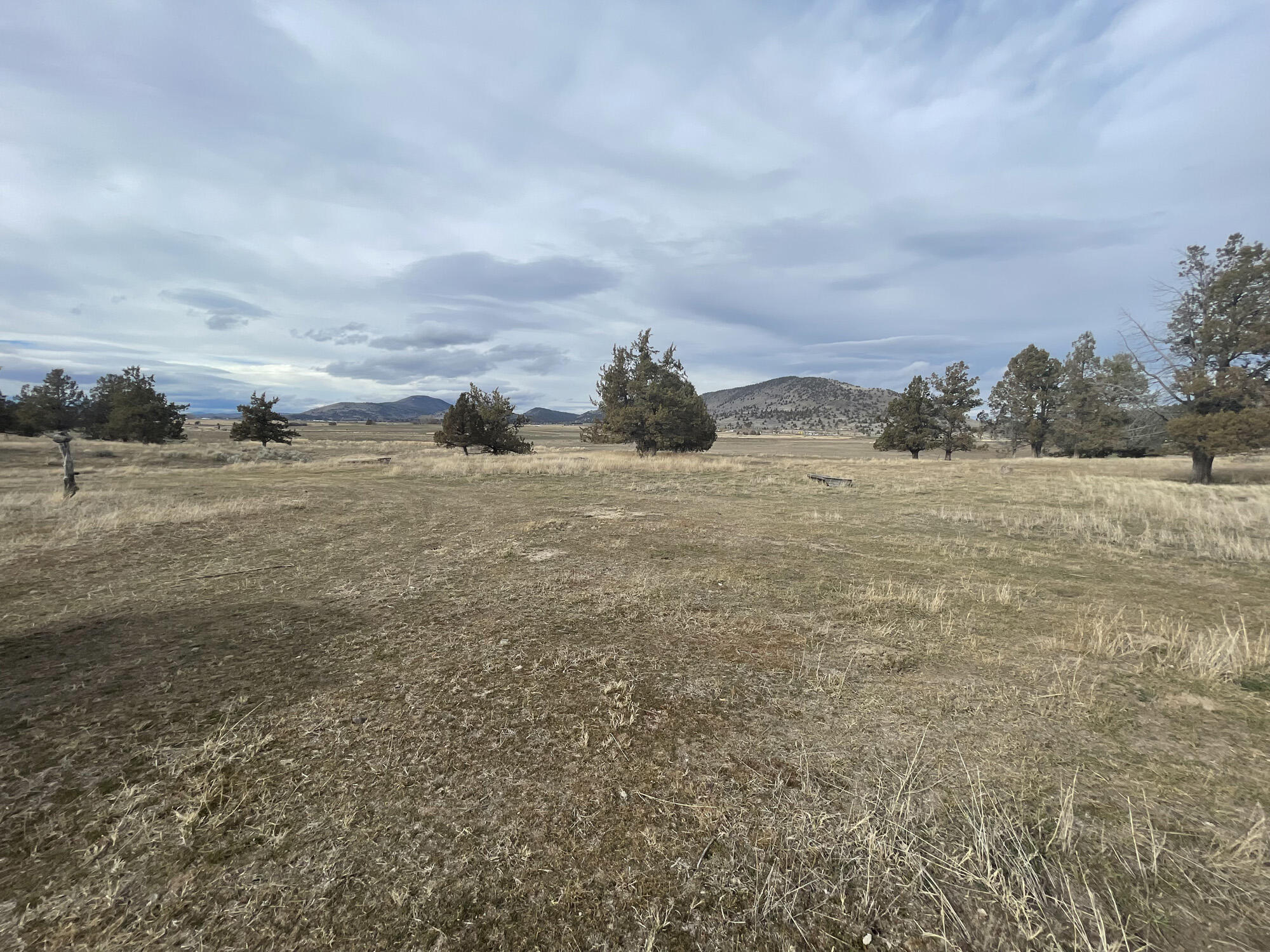 000 Crystal Springs Rd.