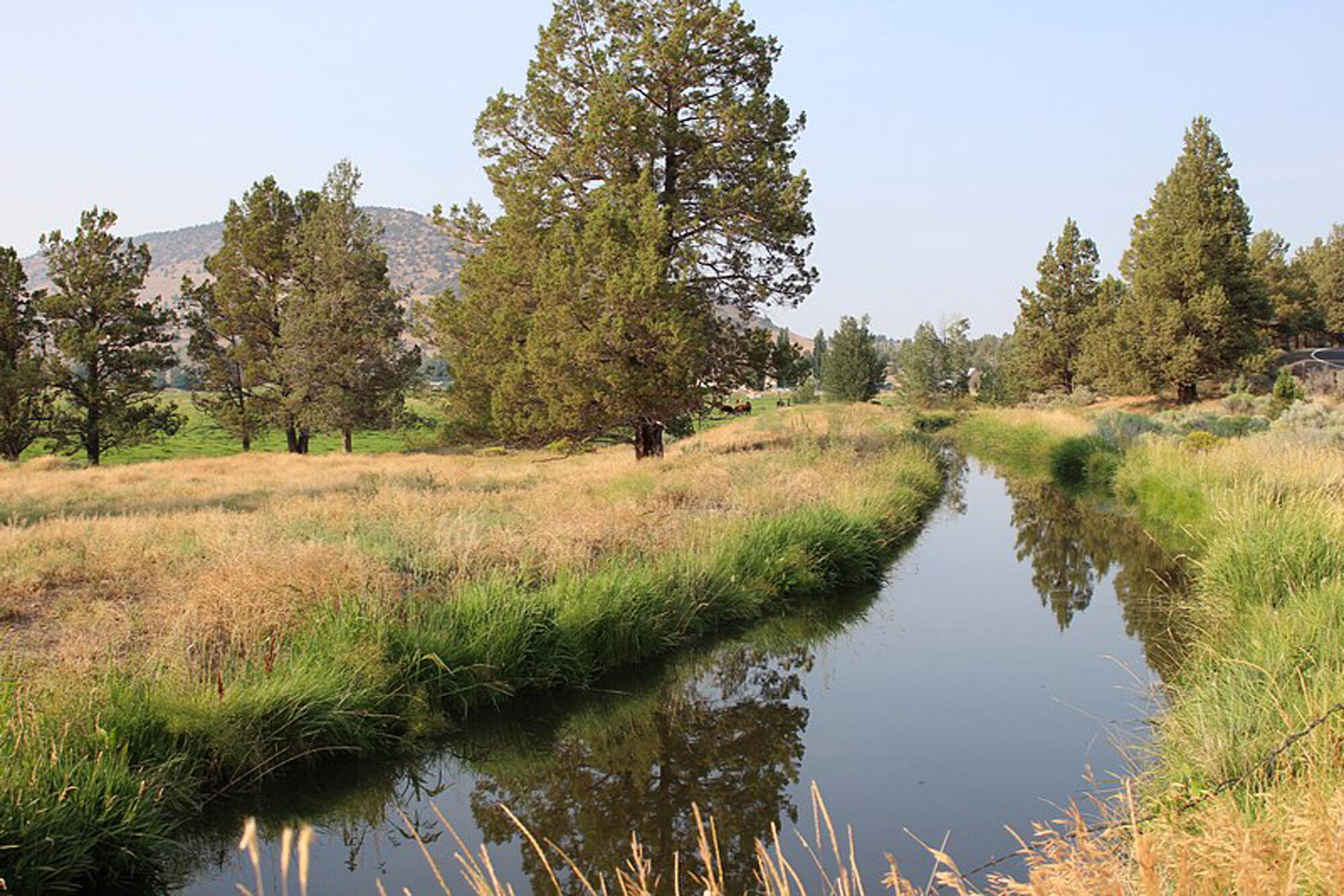 000 Crystal Springs Rd.