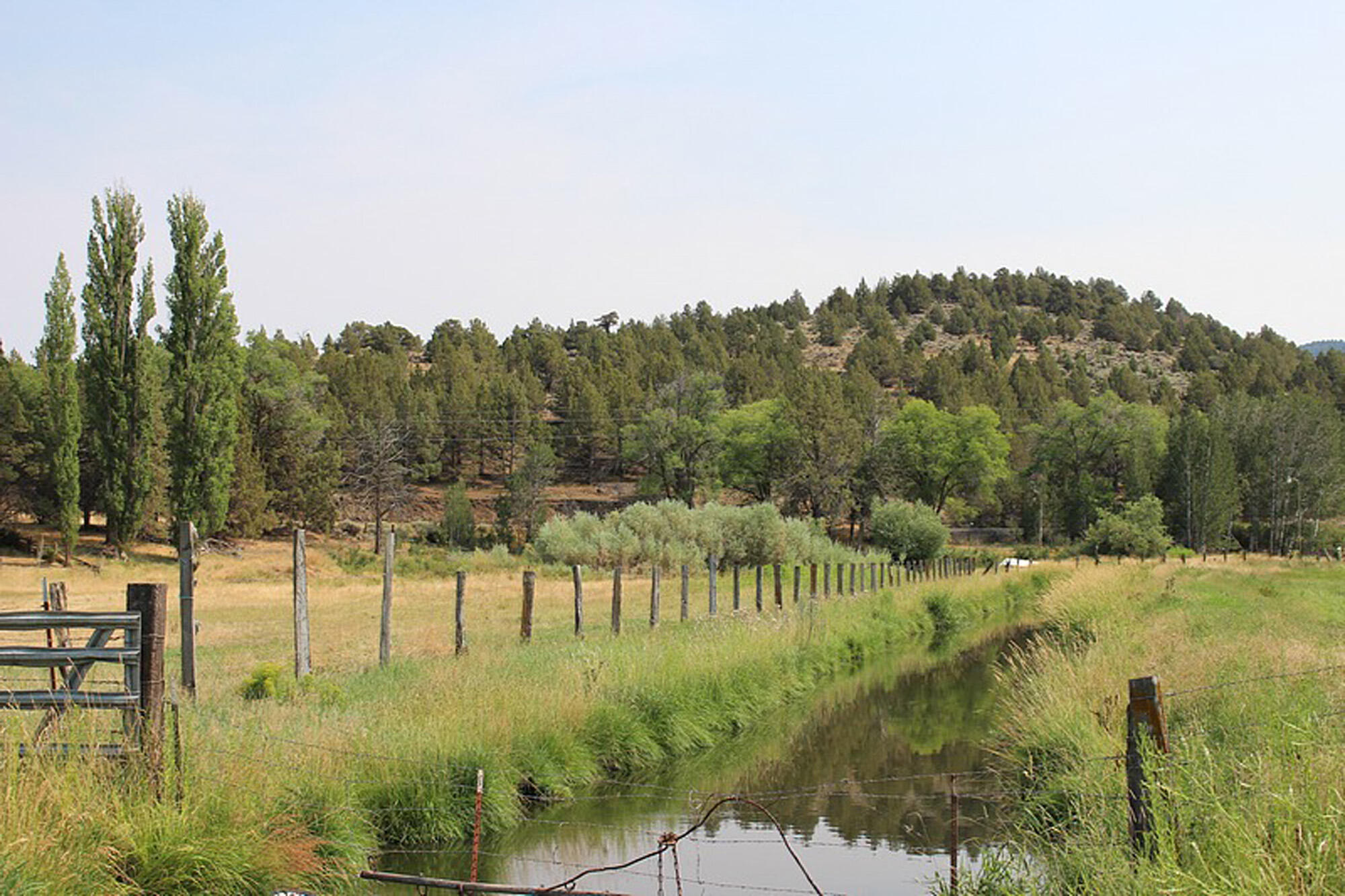000 Crystal Springs Rd.