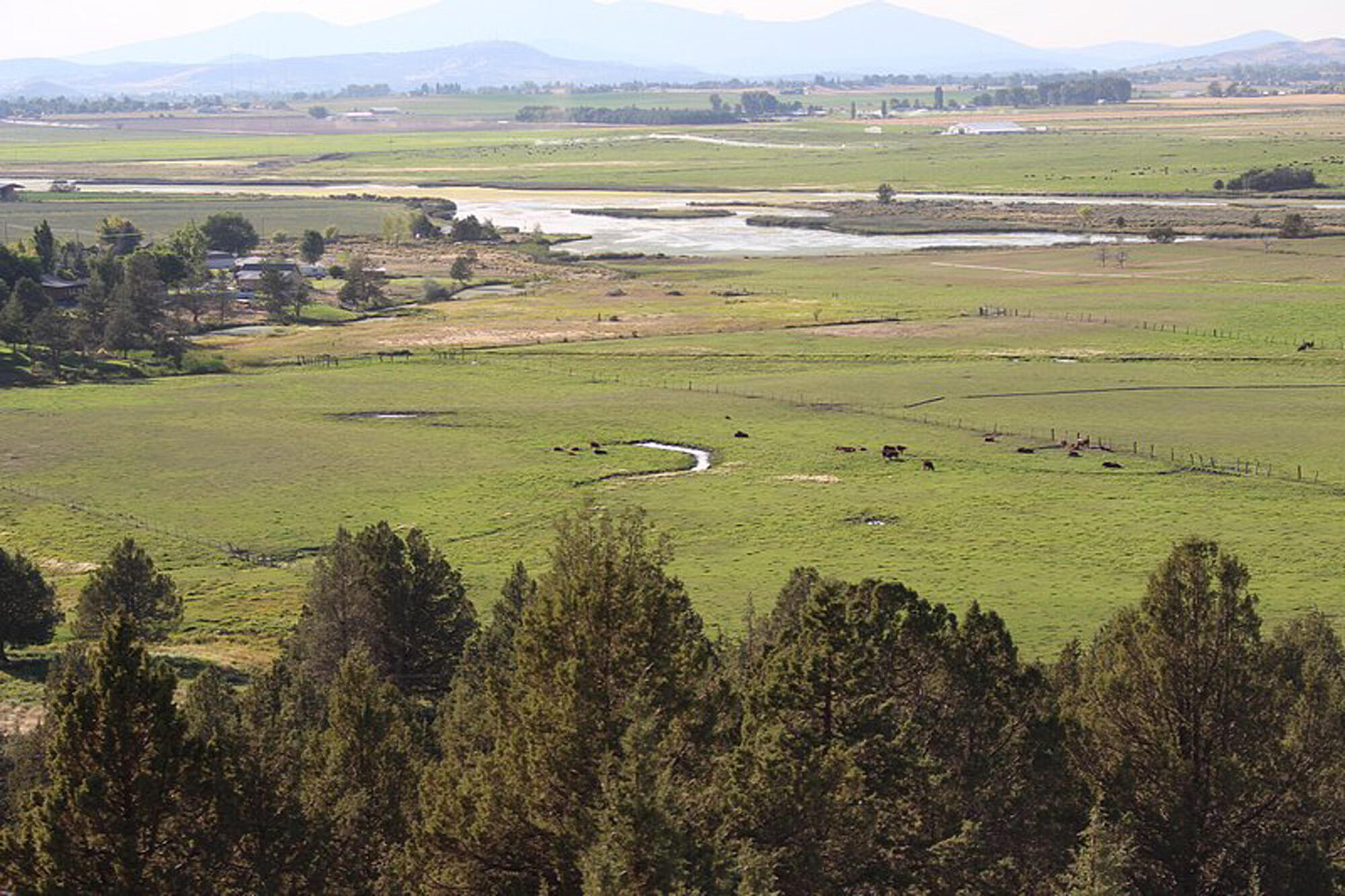 000 Crystal Springs Rd.