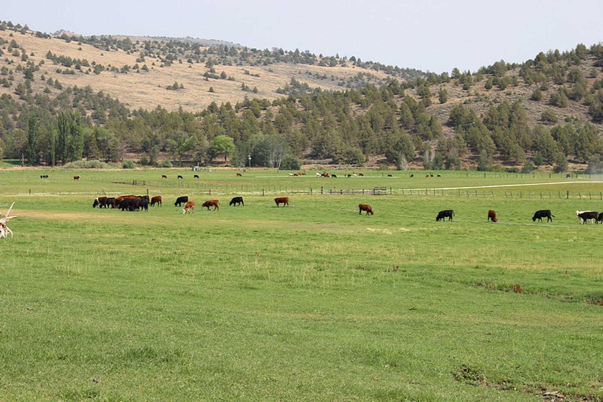 Klamath Falls