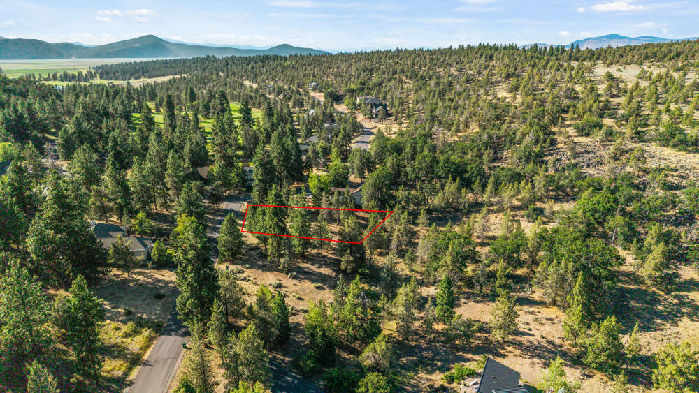 9507 Kestrel Road