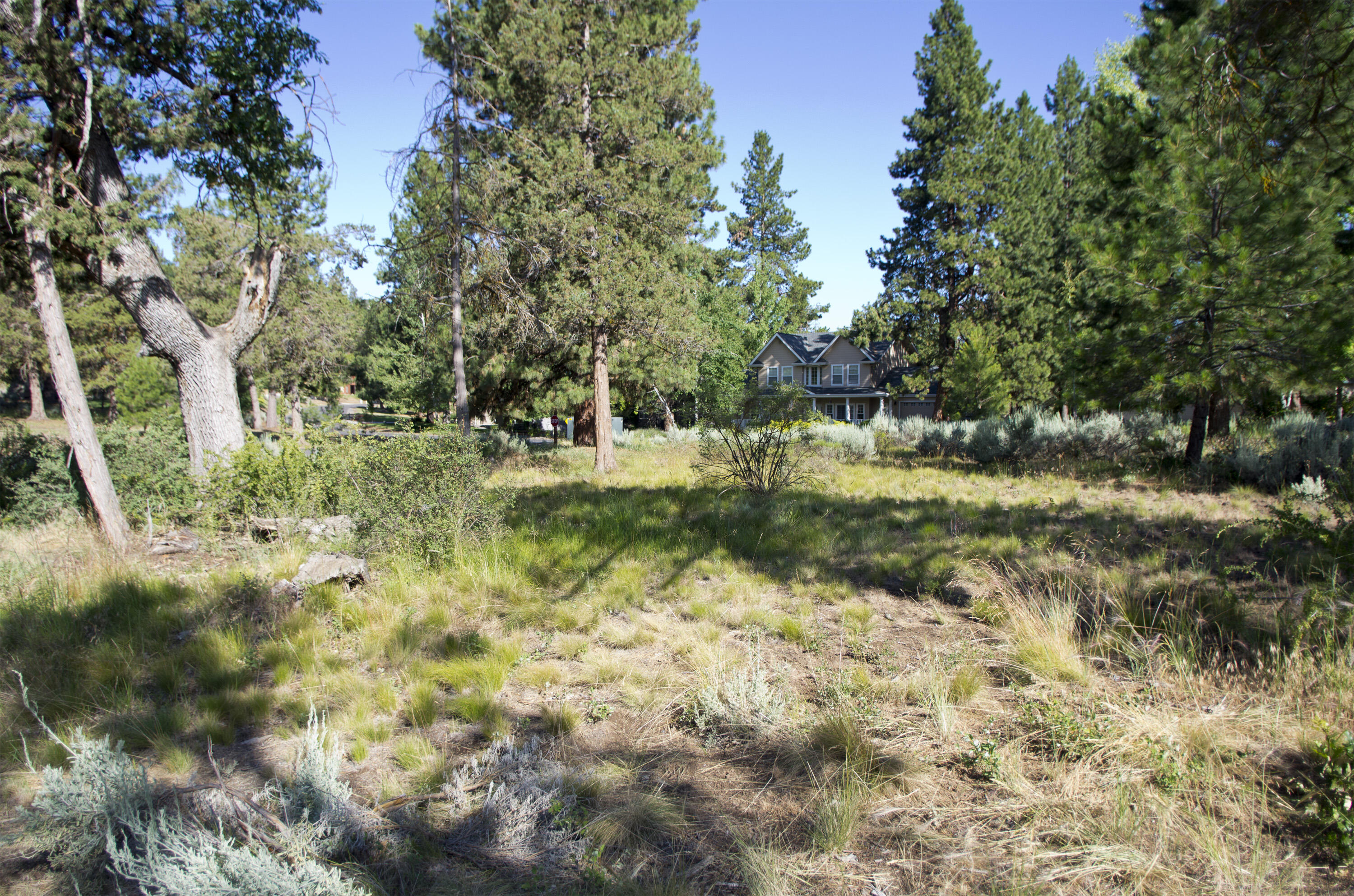 Murrelet Rd Lot 727