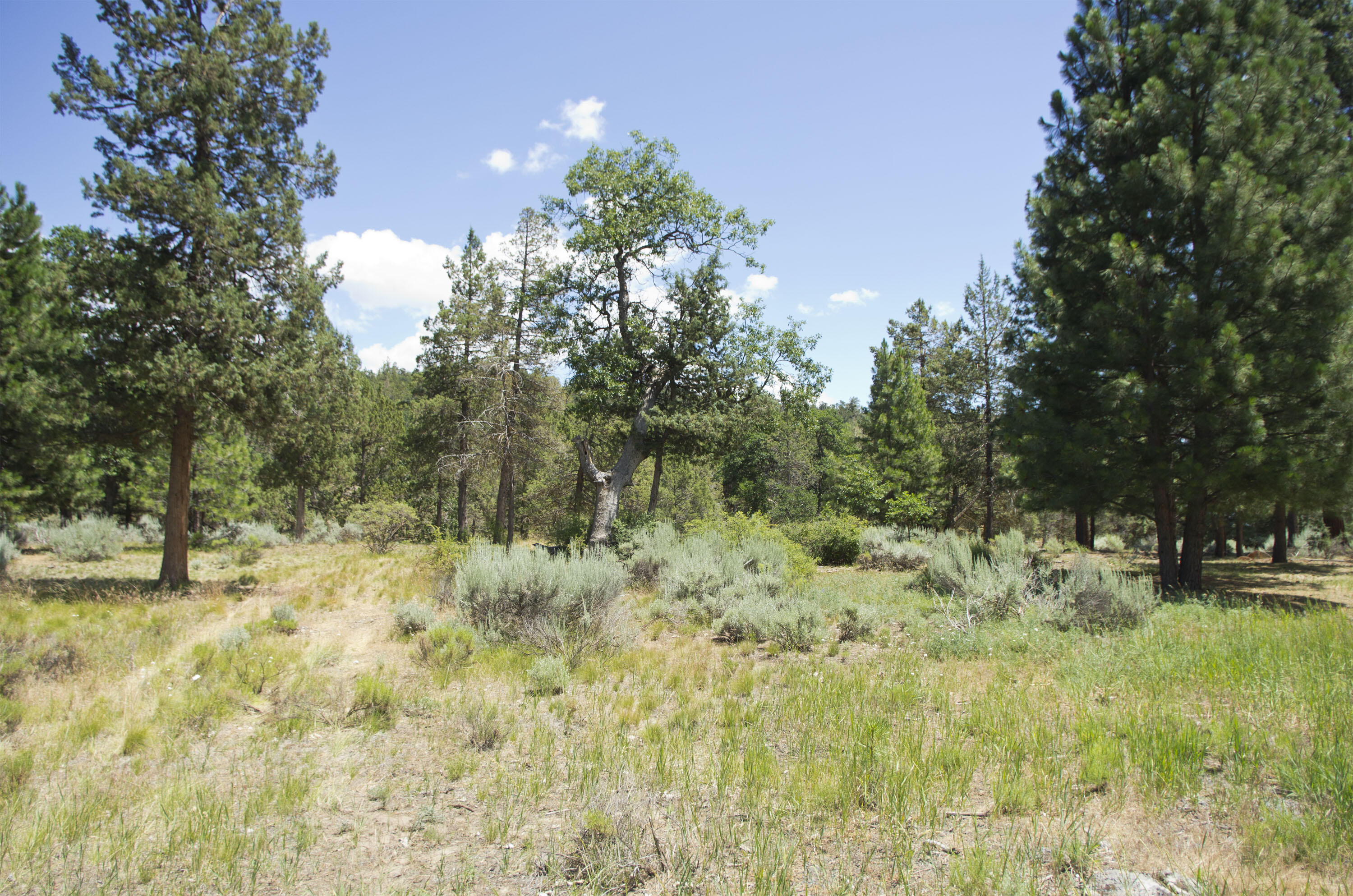 Murrelet Rd Lot 727