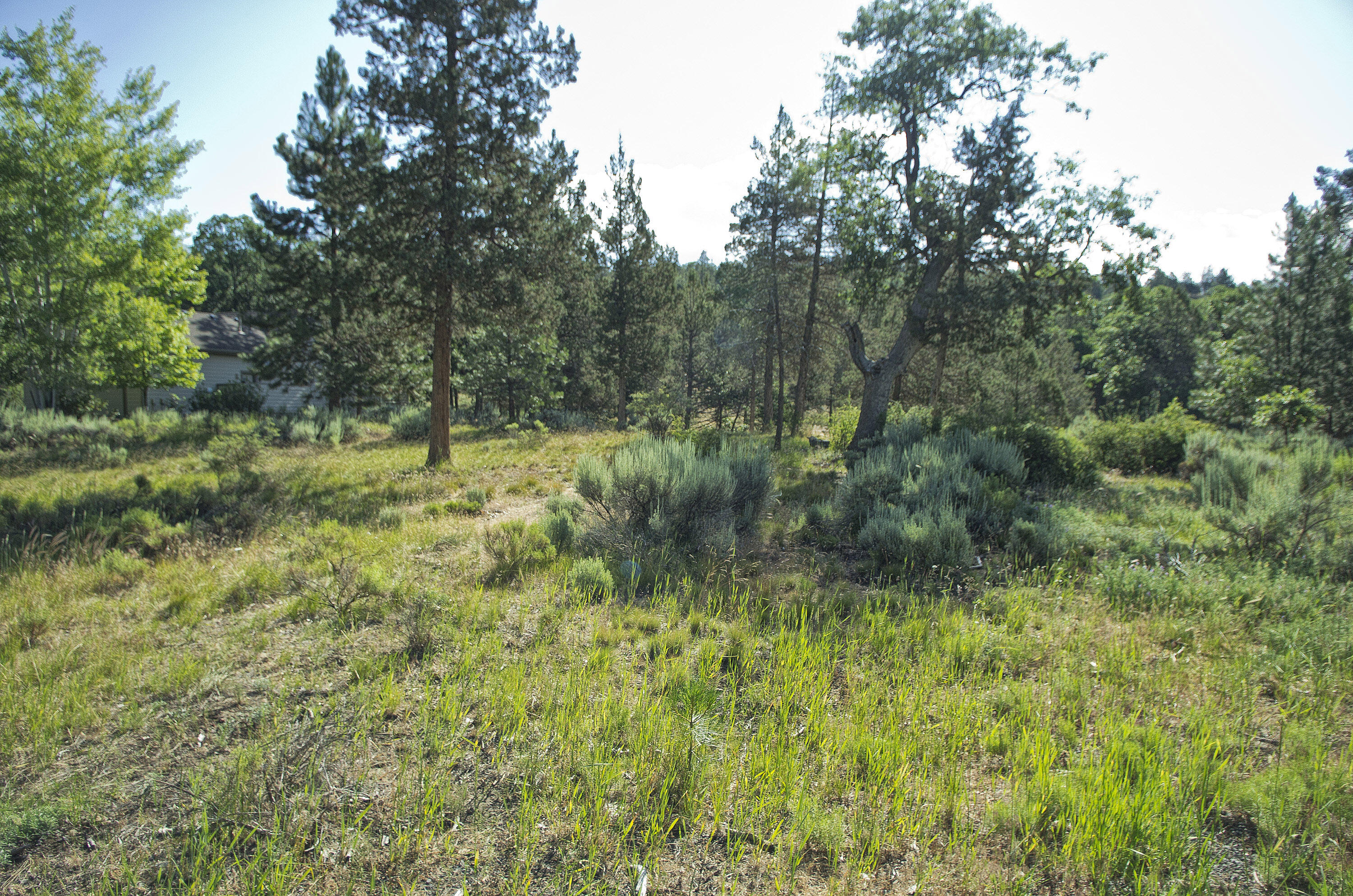 Murrelet Rd Lot 727