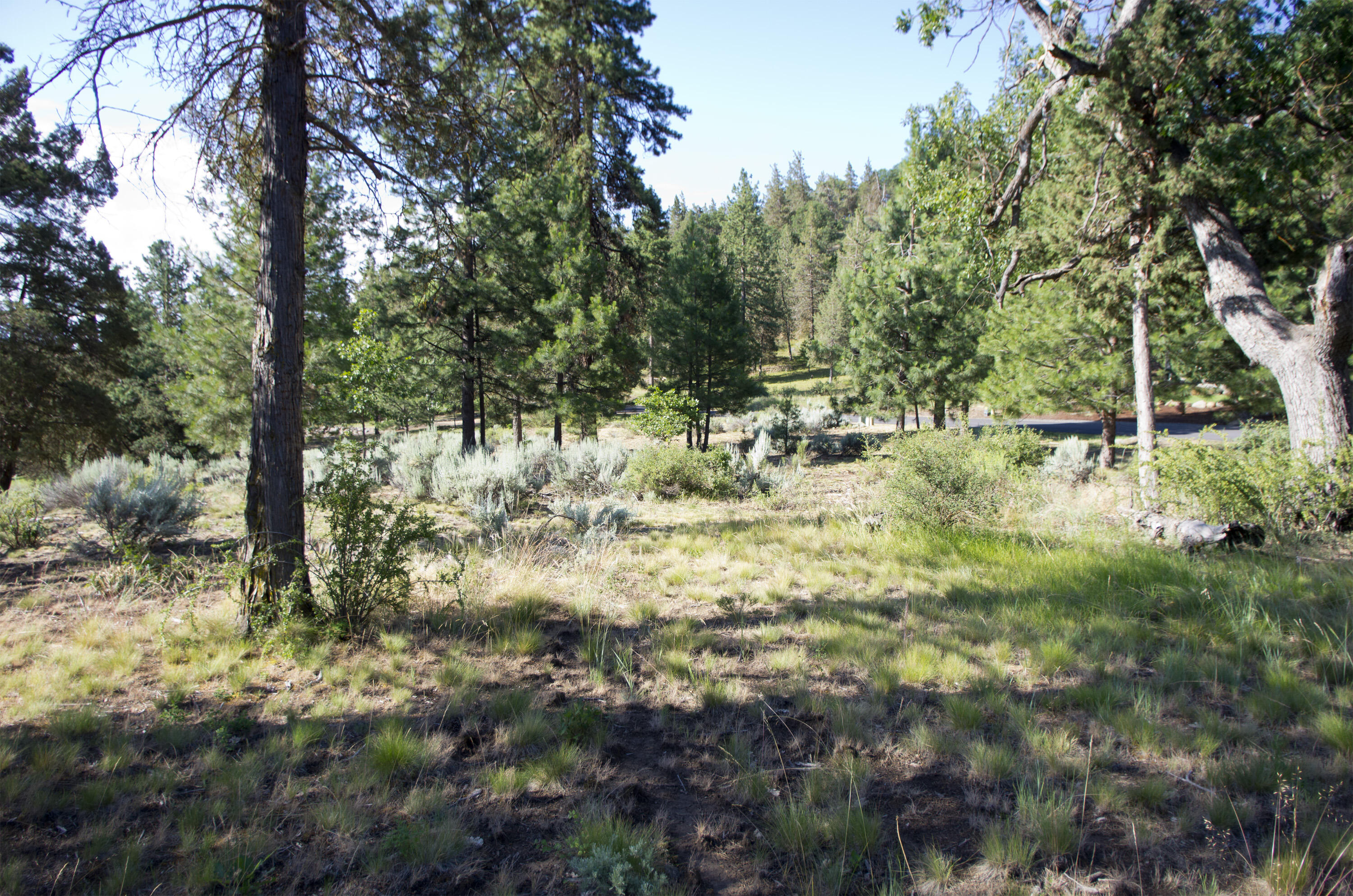 Murrelet Rd Lot 727