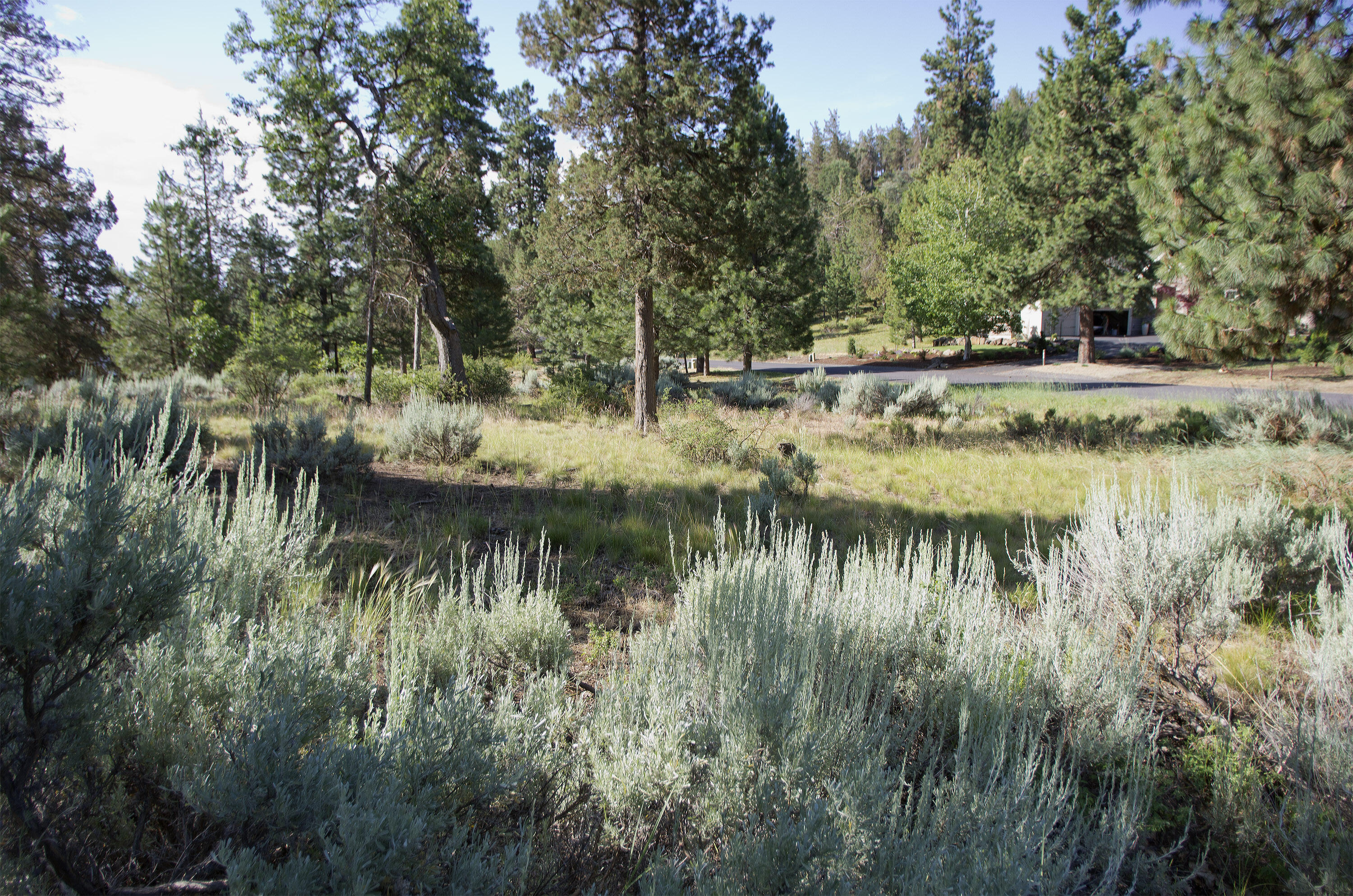 Murrelet Rd Lot 727