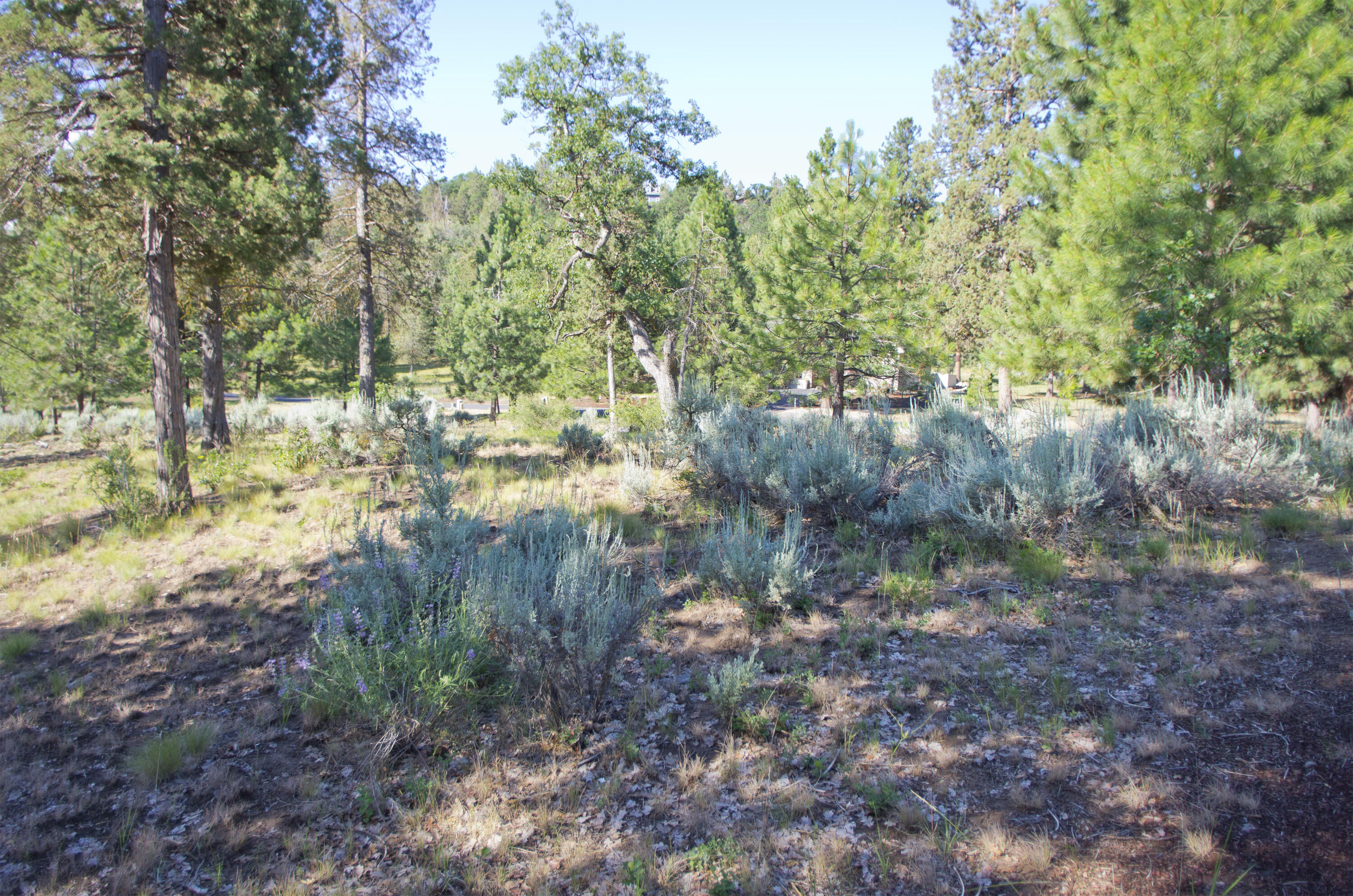 Murrelet Rd Lot 727