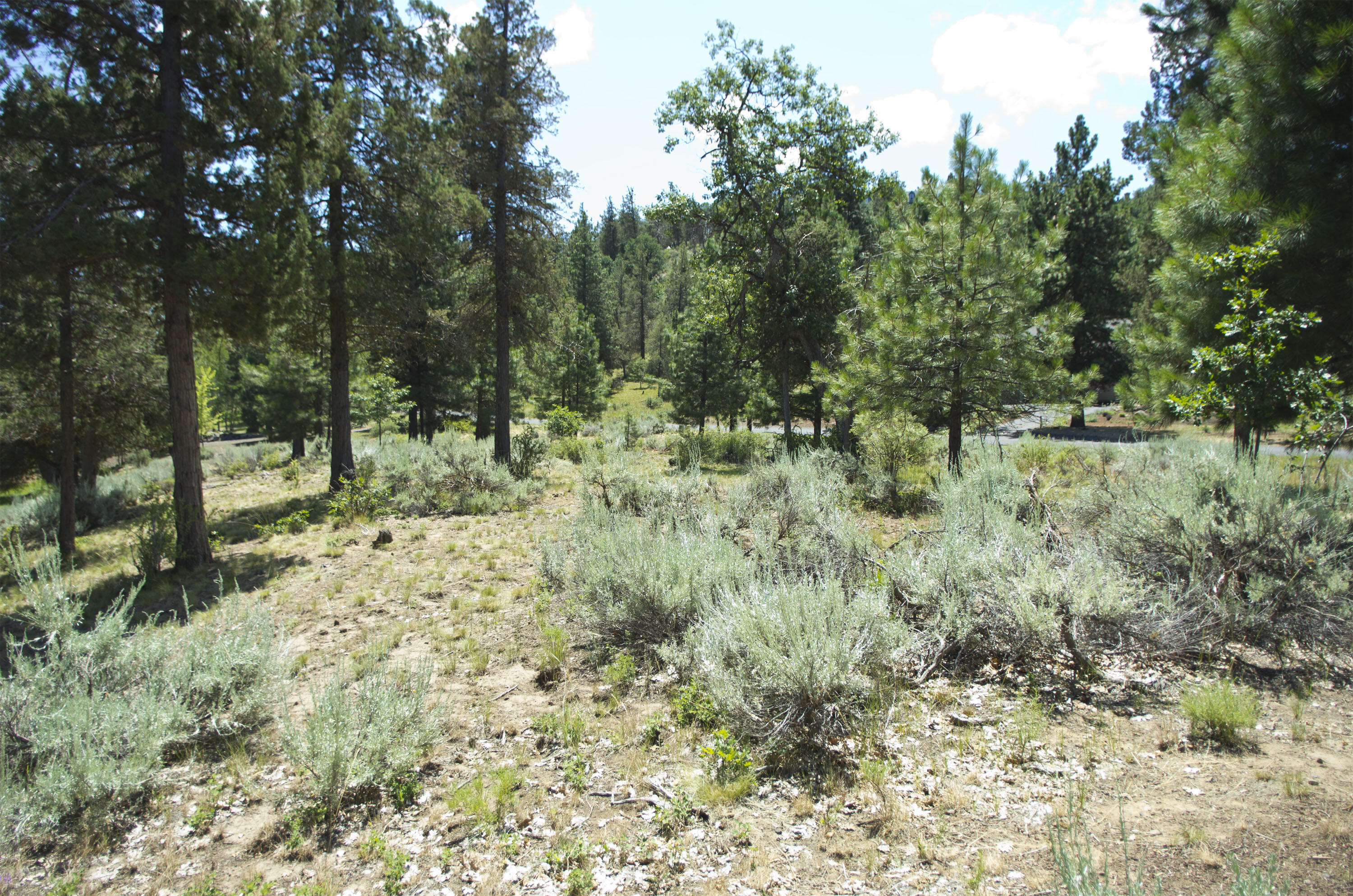 Murrelet Rd Lot 727