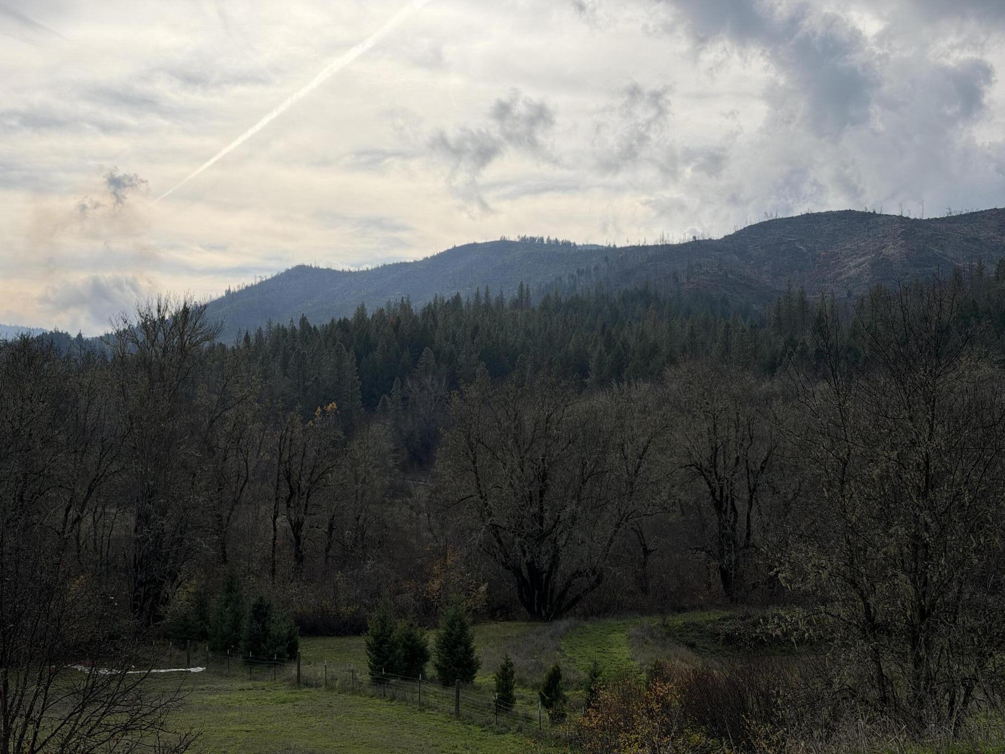 Wooded land with a fenced grassy clearing below forested mountains.