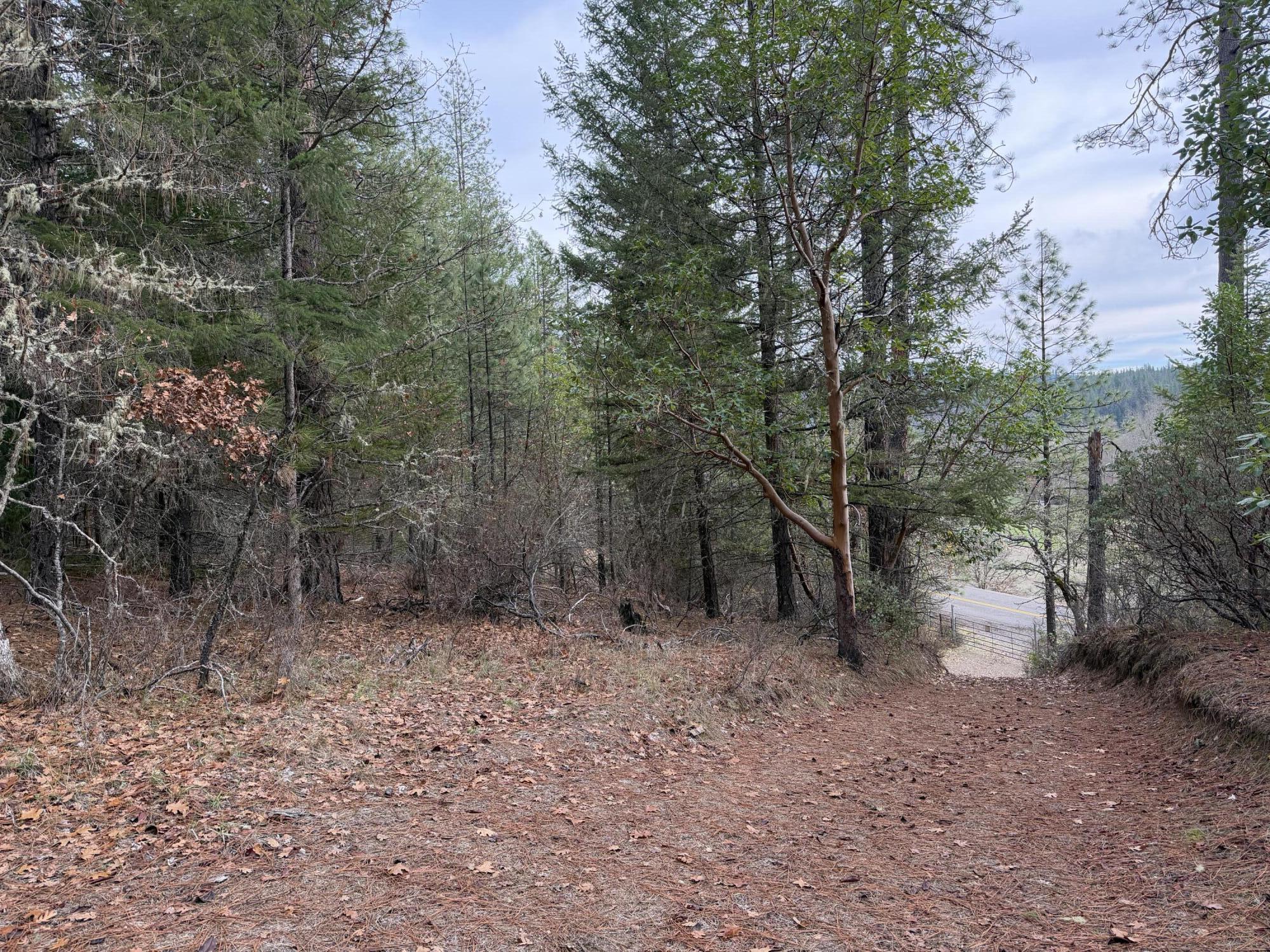 Wooded vacant lot with a sloping dirt clearing, gated road access, and forested hills beyond.