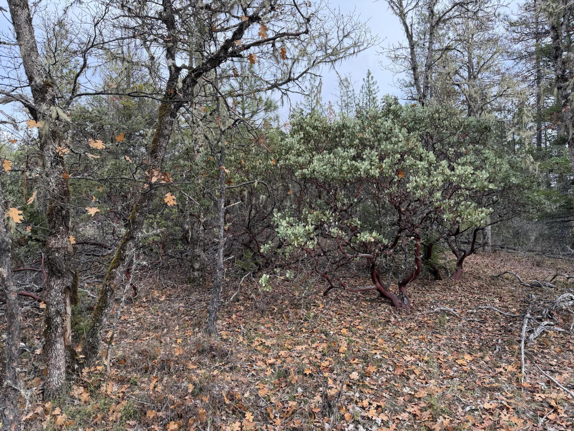 0 E Evans Creek Road, 10149531