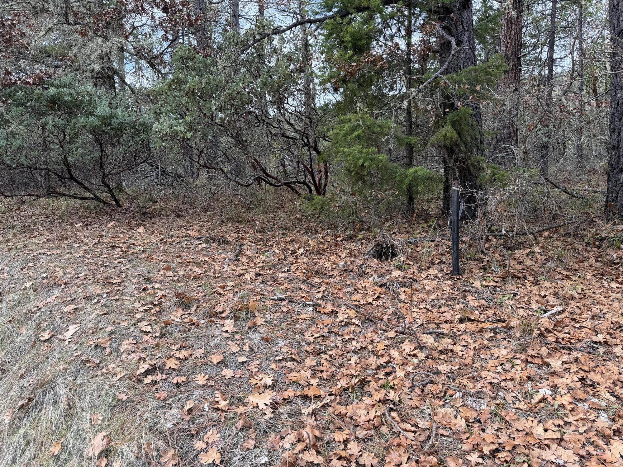 0 E Evans Creek Road, 10149531