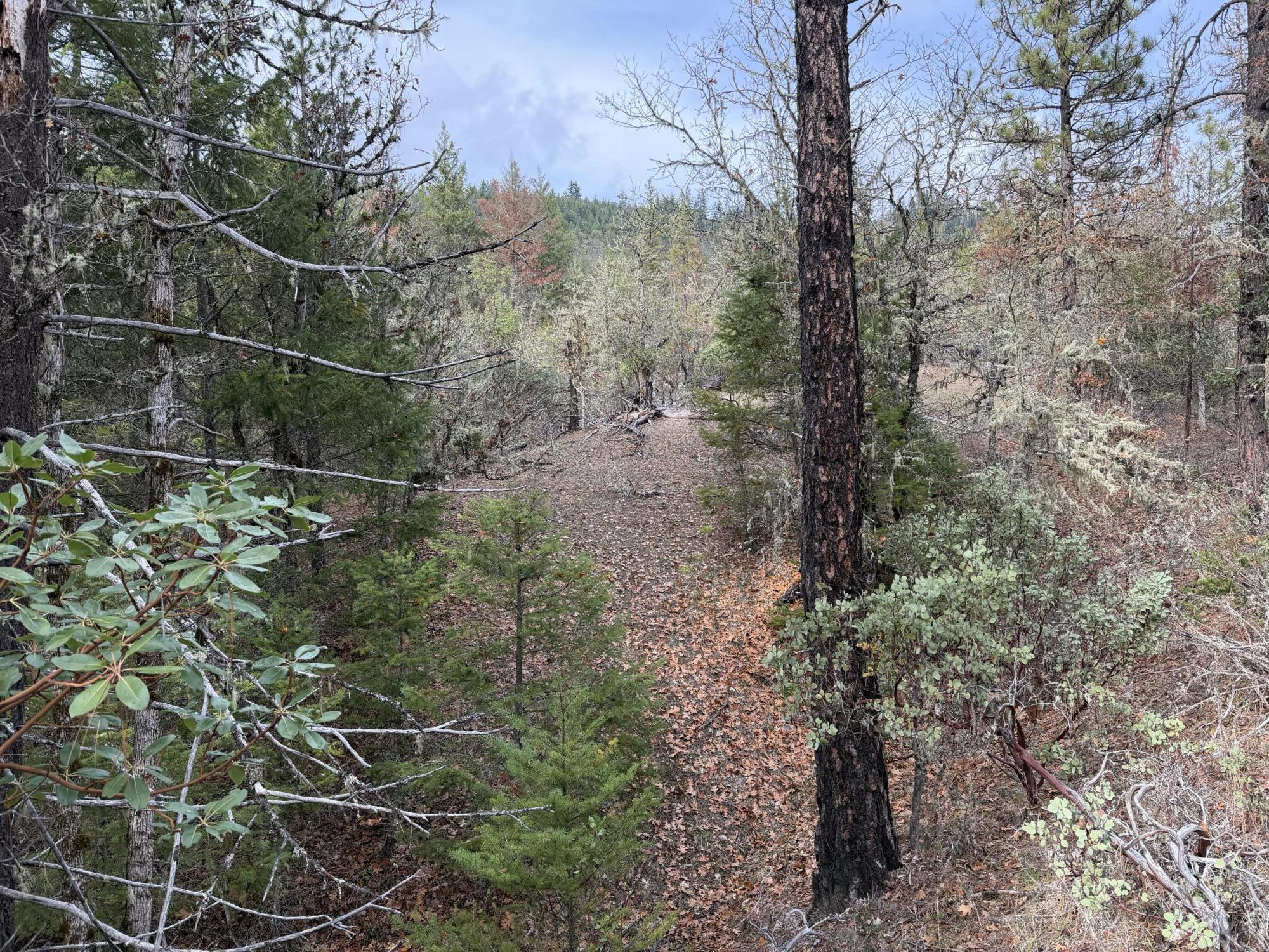 0 E Evans Creek Road, 10149531