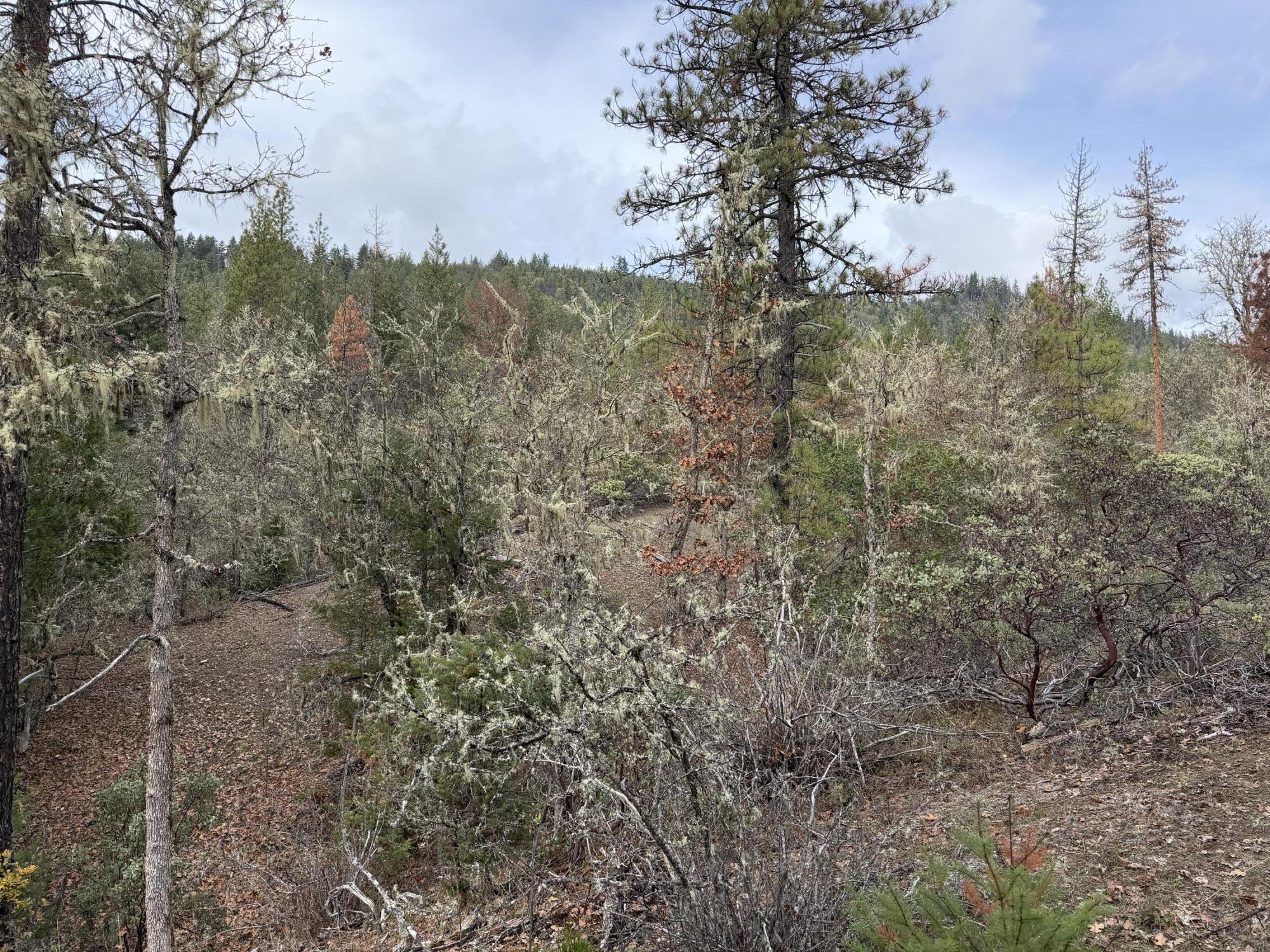 0 E Evans Creek Road, 10149531