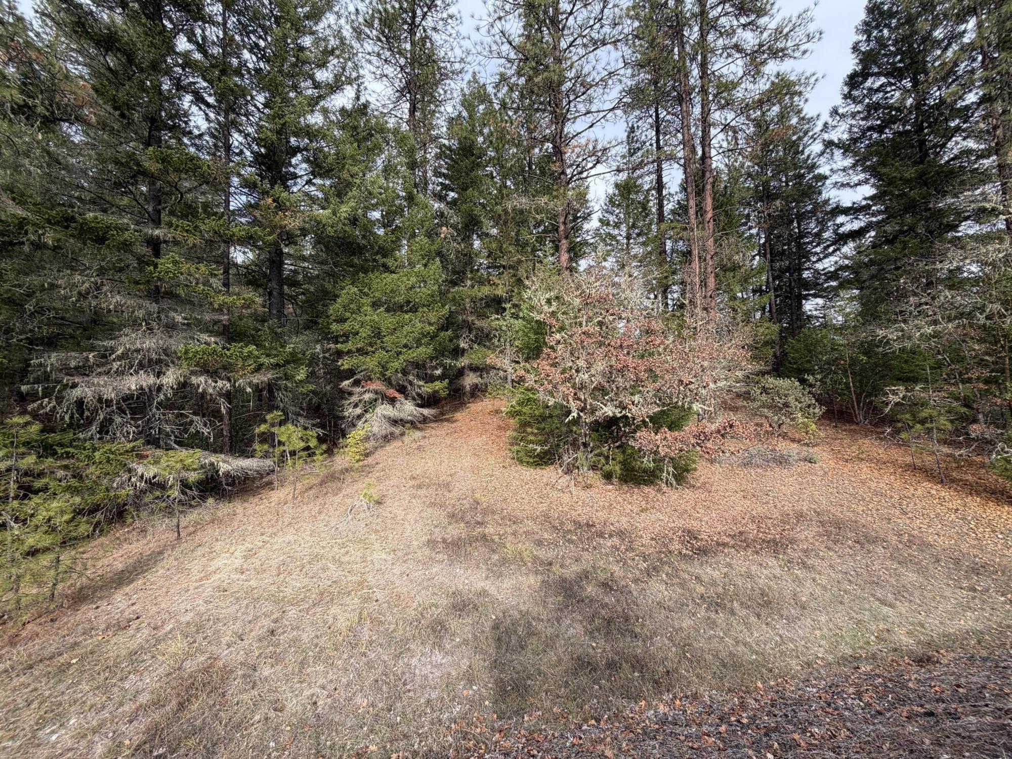 0 E Evans Creek Road, 10149531
