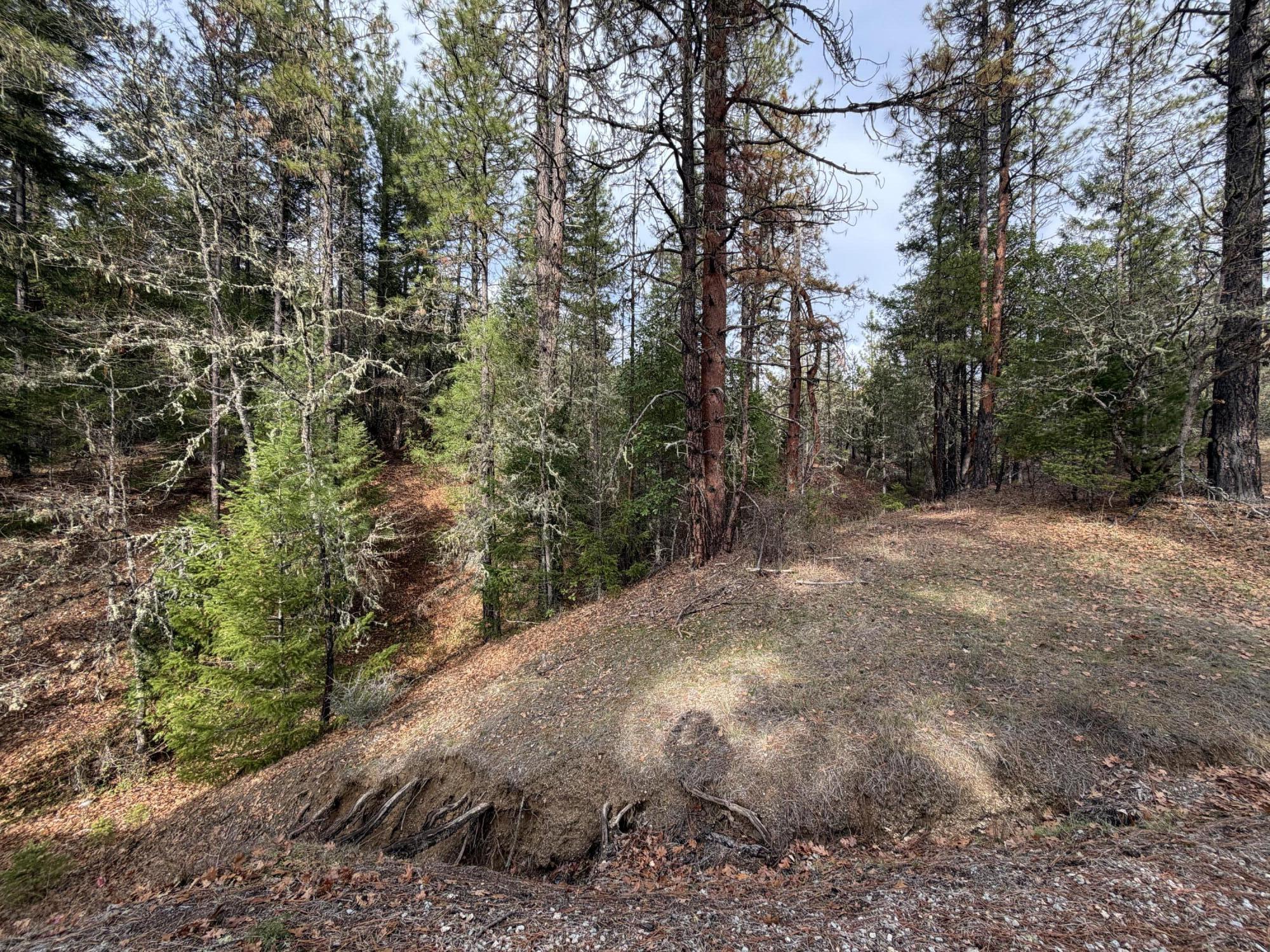 0 E Evans Creek Road, 10149531