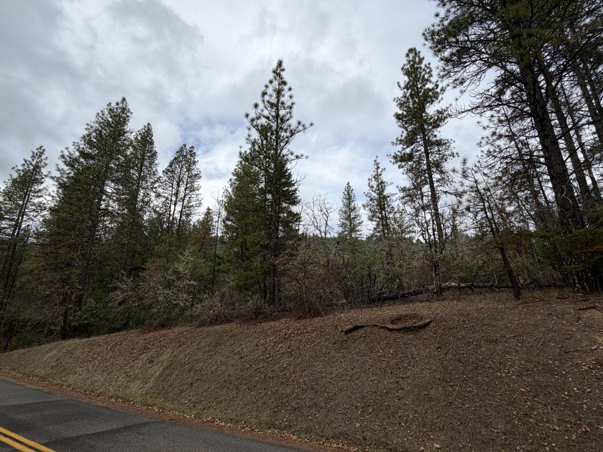 0 E Evans Creek Road, 10149531