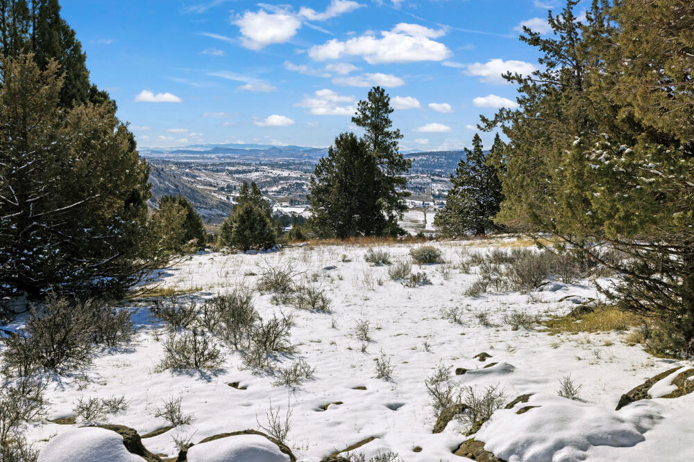 Best View Drive, 890753