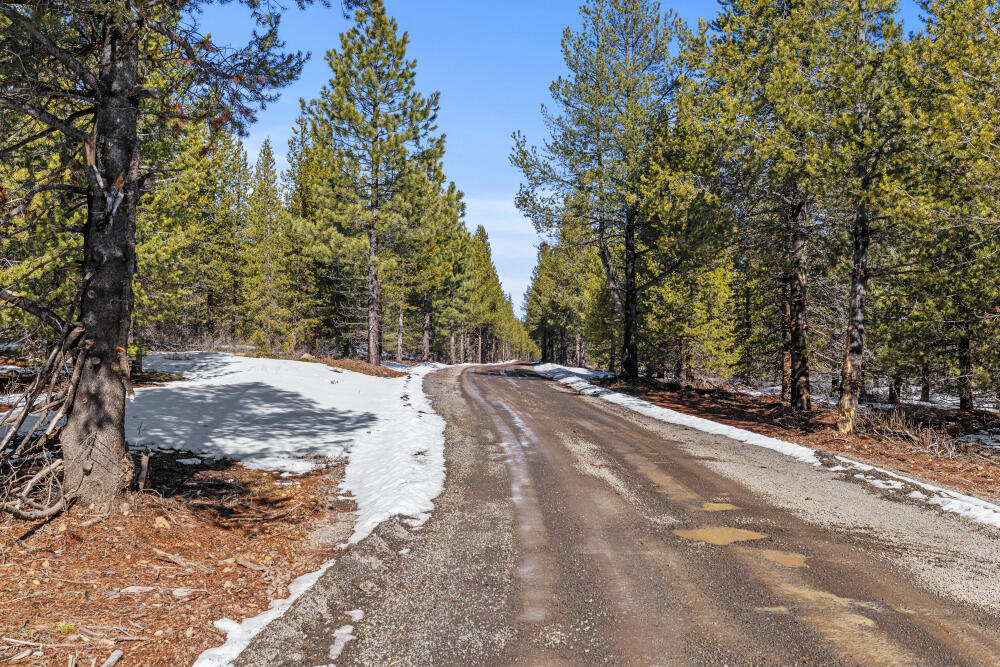 Clover Creek Rd Forestland