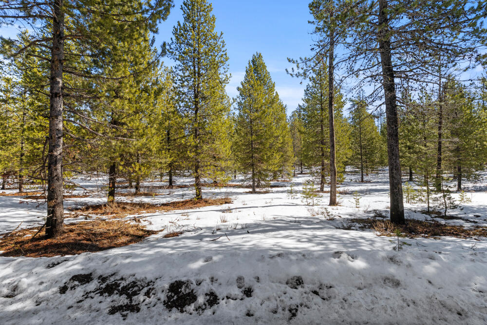 Clover Creek Rd Forestland