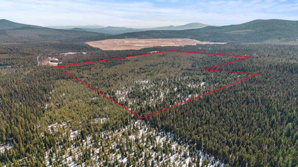 Clover Creek Rd Forestland
