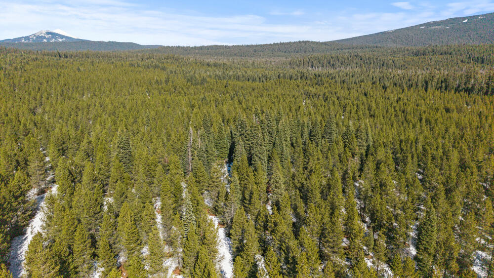 Clover Creek Rd Forestland