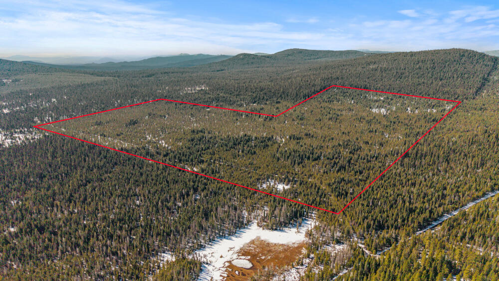 Clover Creek Rd Forestland