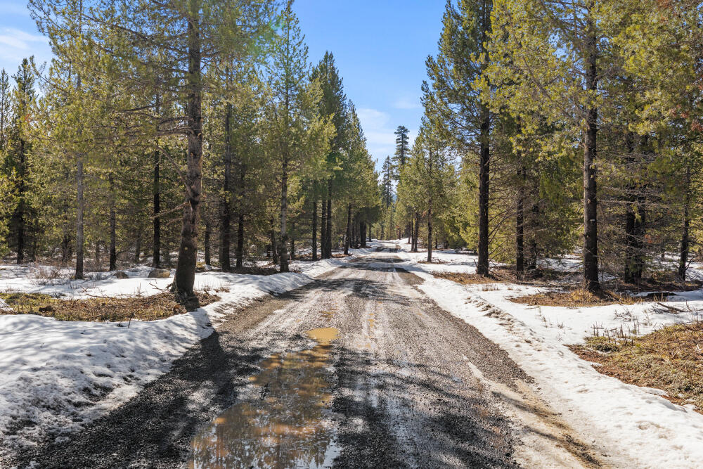 Clover Creek Rd Forestland