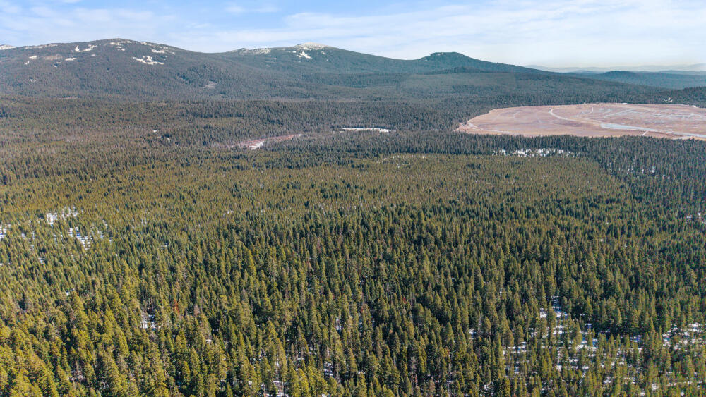 Clover Creek Rd Forestland